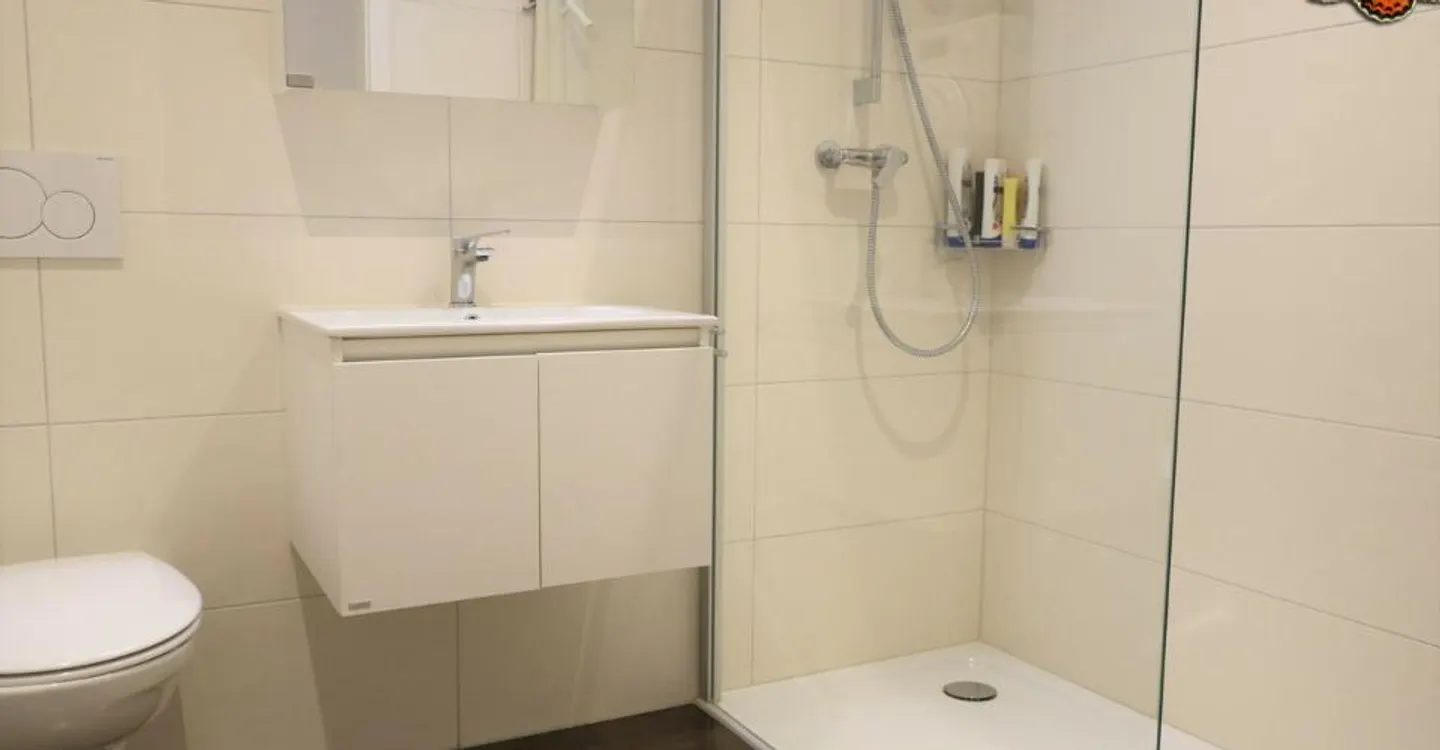 2-Zimmer-Wohnung in Romont mit großer Terrasse von 40m² - Foto 8 von 10