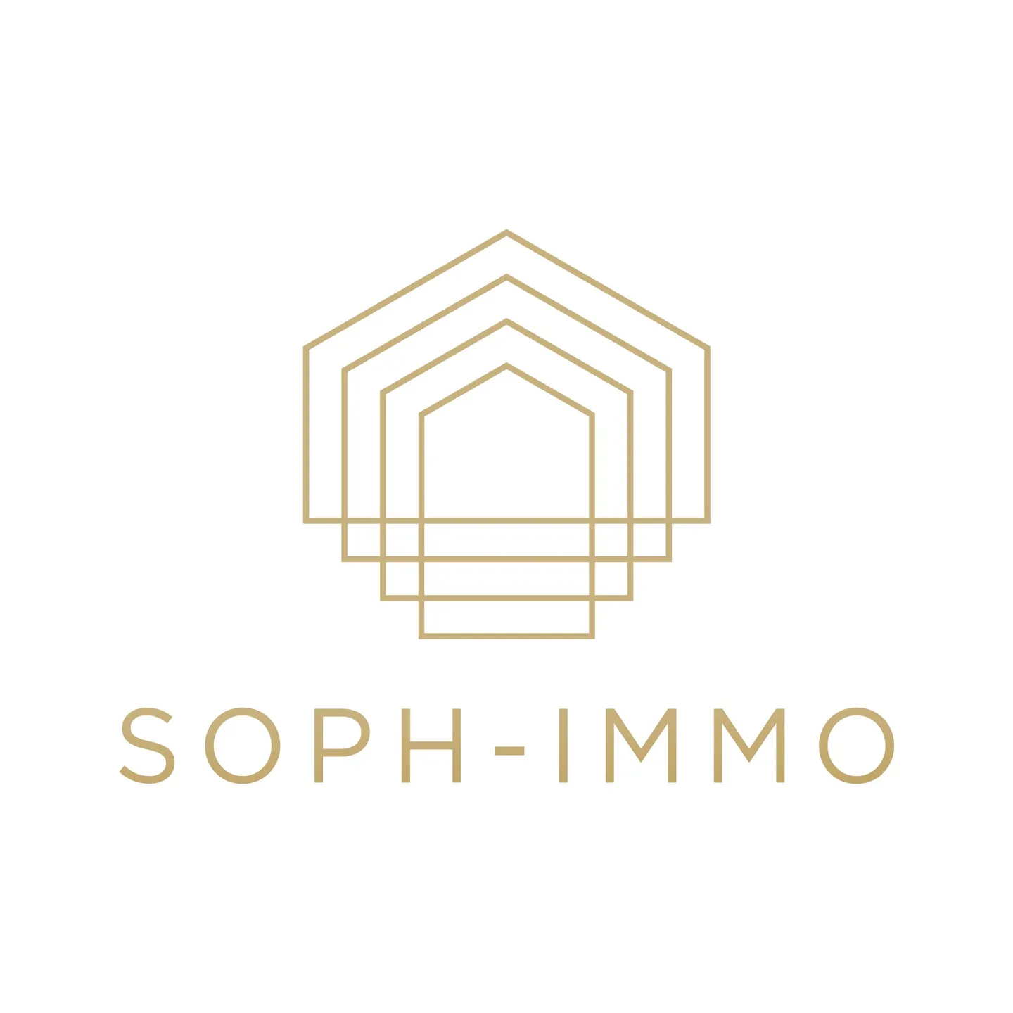 Magnifici appartamenti da 3 a 4 camere ristrutturati - Châtel-Saint-Denis - Foto 1 di 1