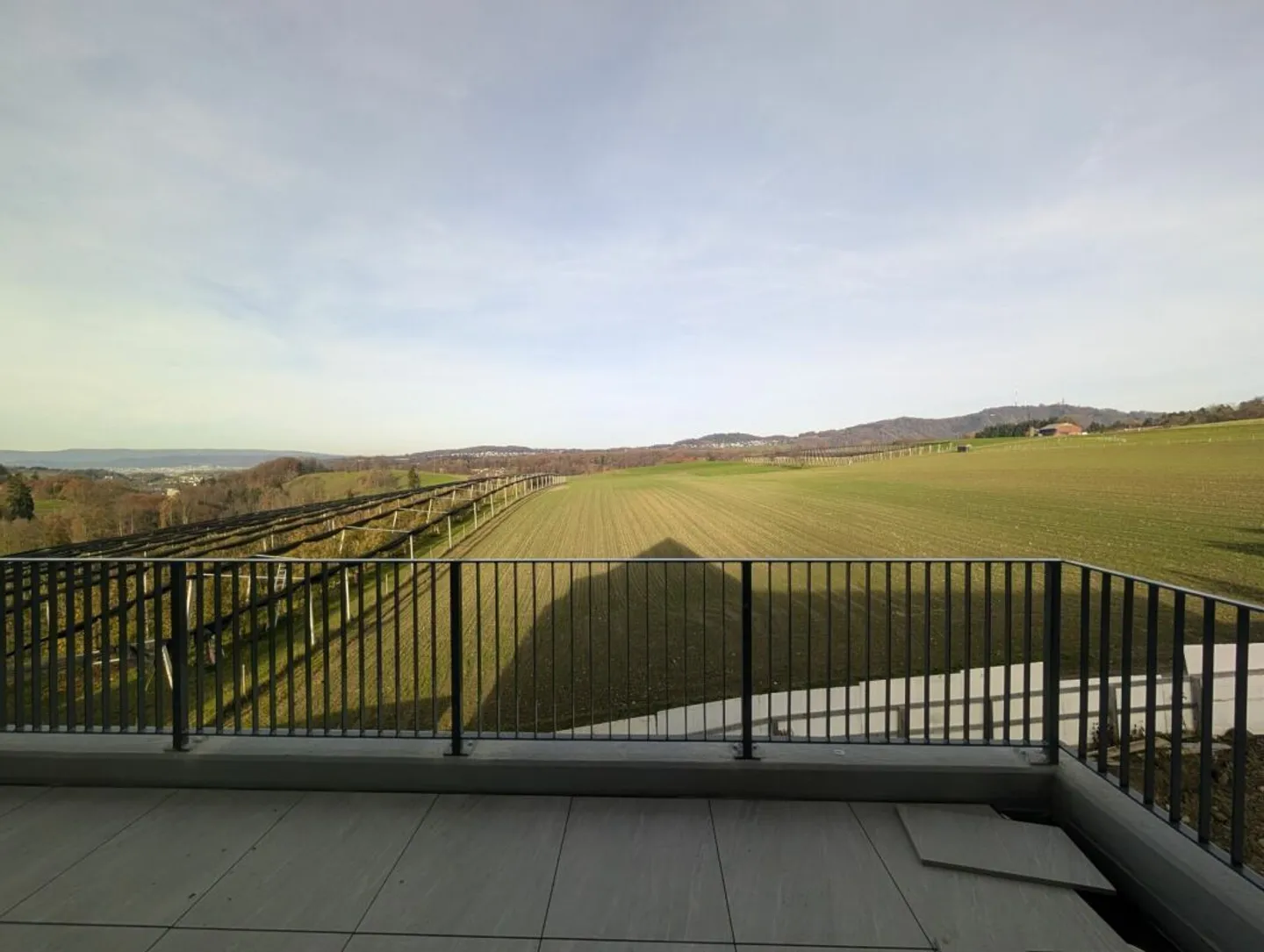 «Al Eichacher godetevi la vista dell'Uetliberg dal balcone» - Foto 6 di 17