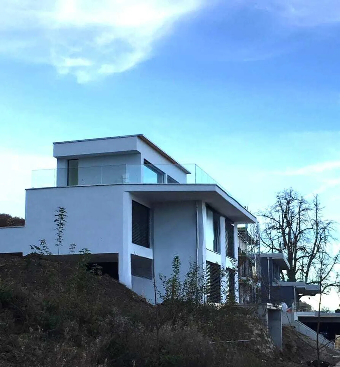 Casa unifamiliare di 5,5 stanze con vista lago e terrazza sul tetto a Boniswil in vendita - Foto 3 di 8