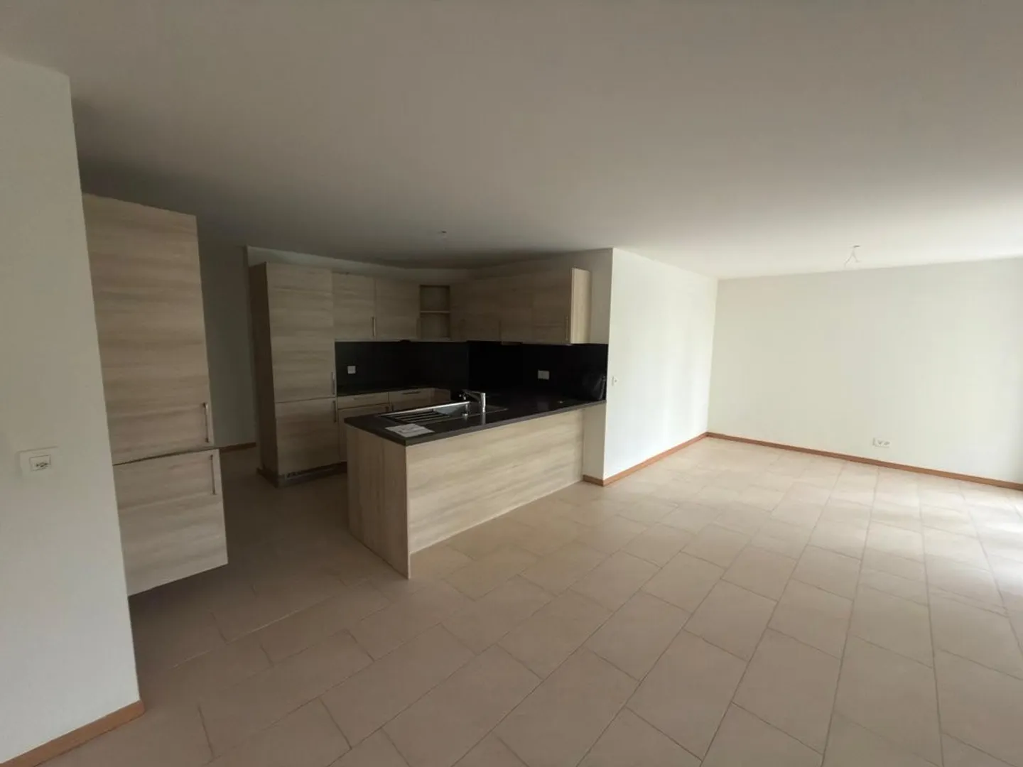Bright 4.5 Room Apartment - Photo 3 of 9