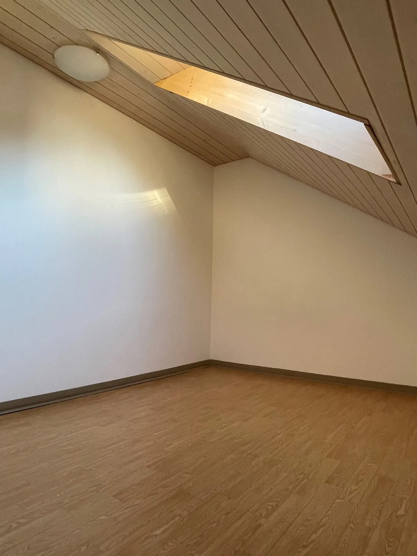 Studio 2 stanze in affitto - Foto 3 di 6