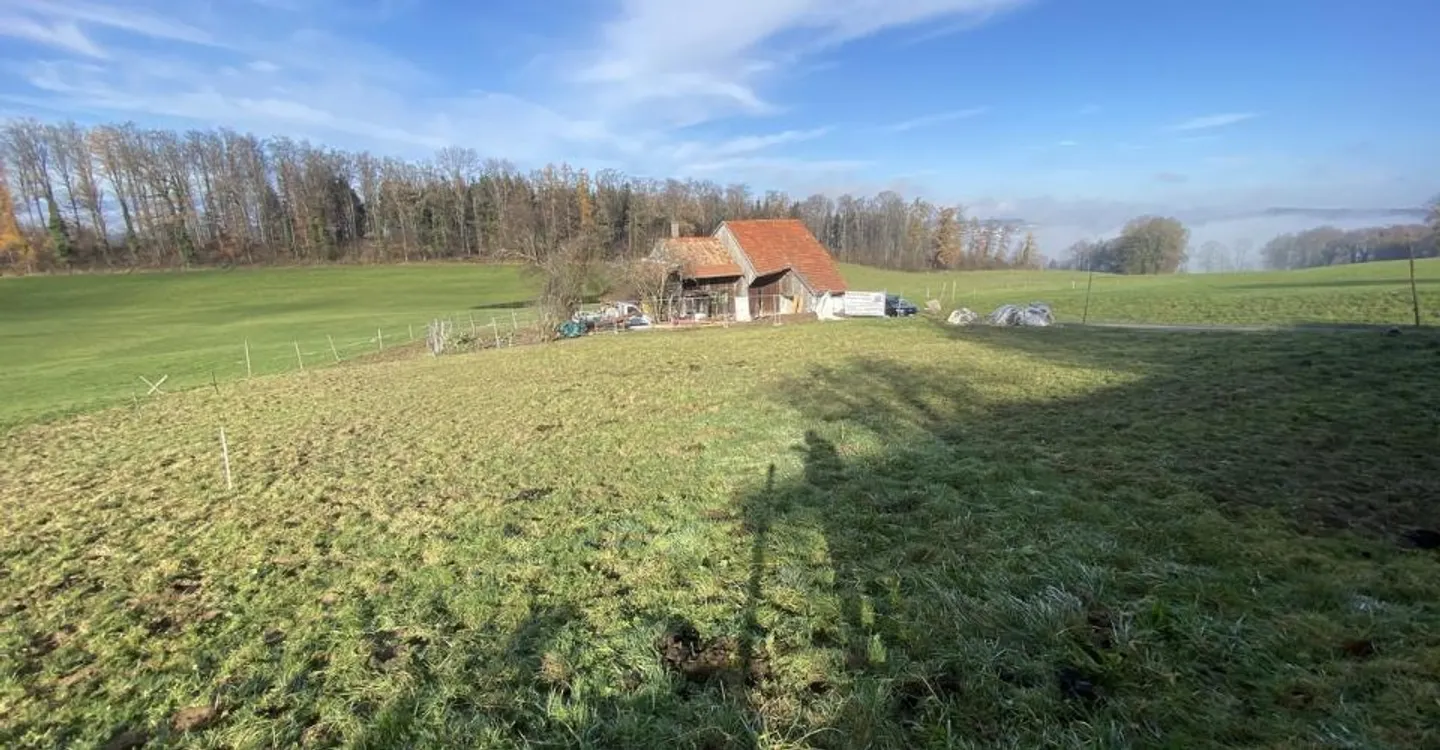 2600 m2 Grundstück renovationsbedürftiges Haus mit Potential - Foto 2 di 5
