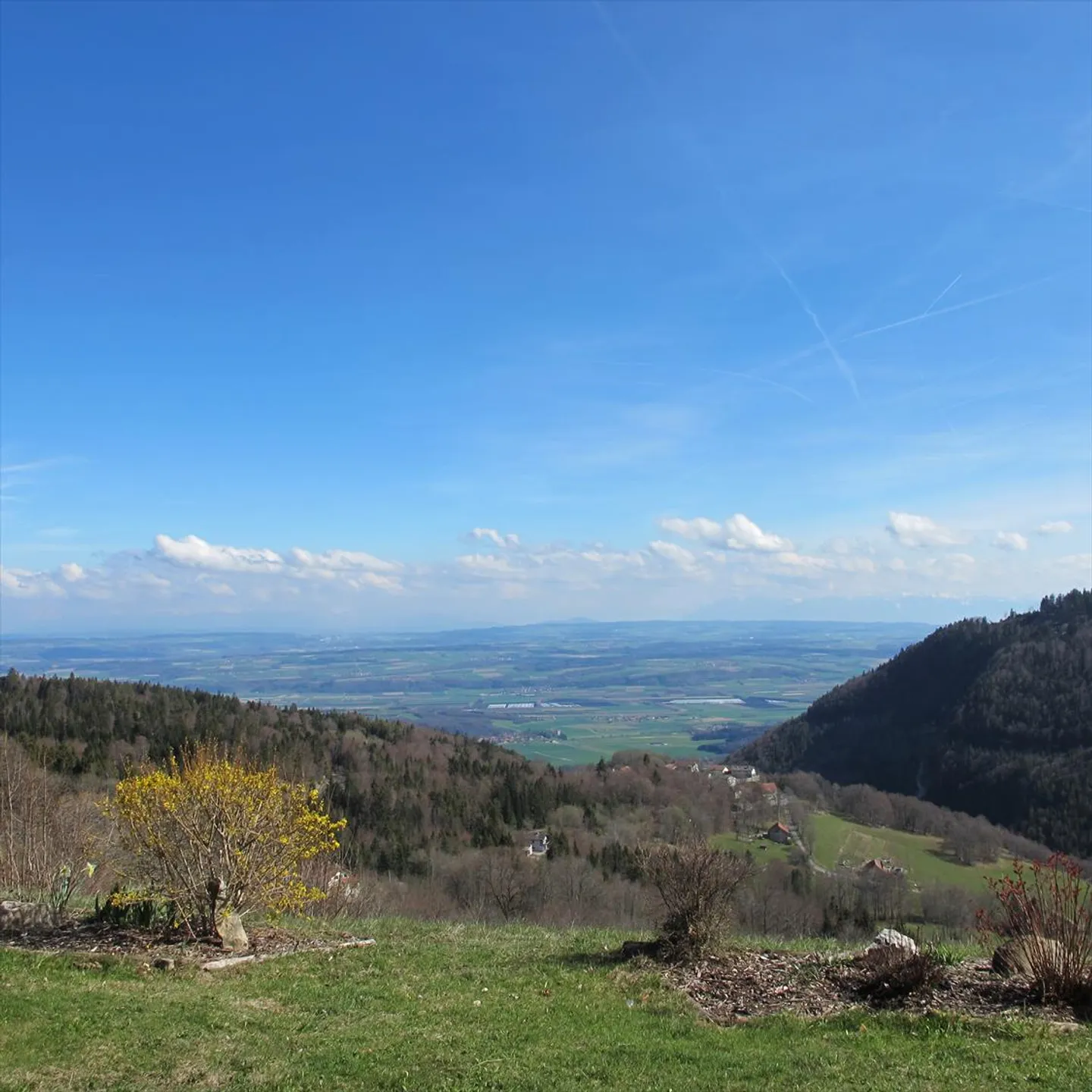Appartamento con terrazza 1.5 stanze - Foto 5 di 5