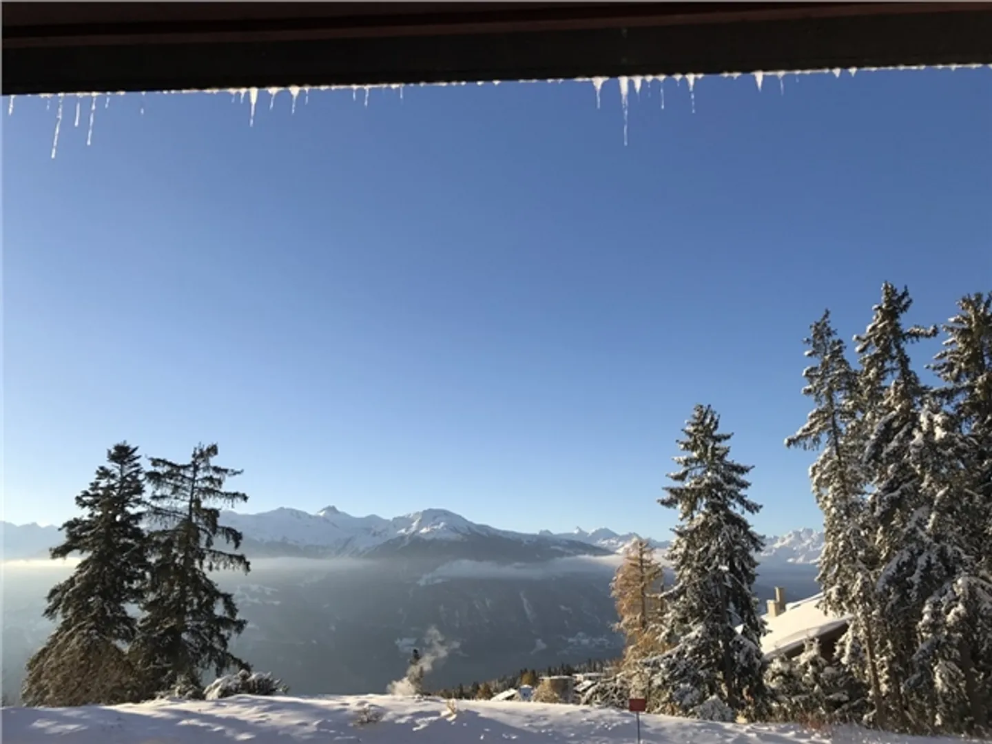 Posizione settimana 3,5 pc di fronte agli impianti di risalita del Signal. - Foto 2 di 13