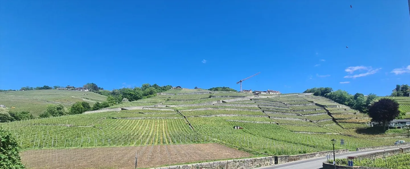 Appartement 5.5 pièces - Photo 5 sur 7