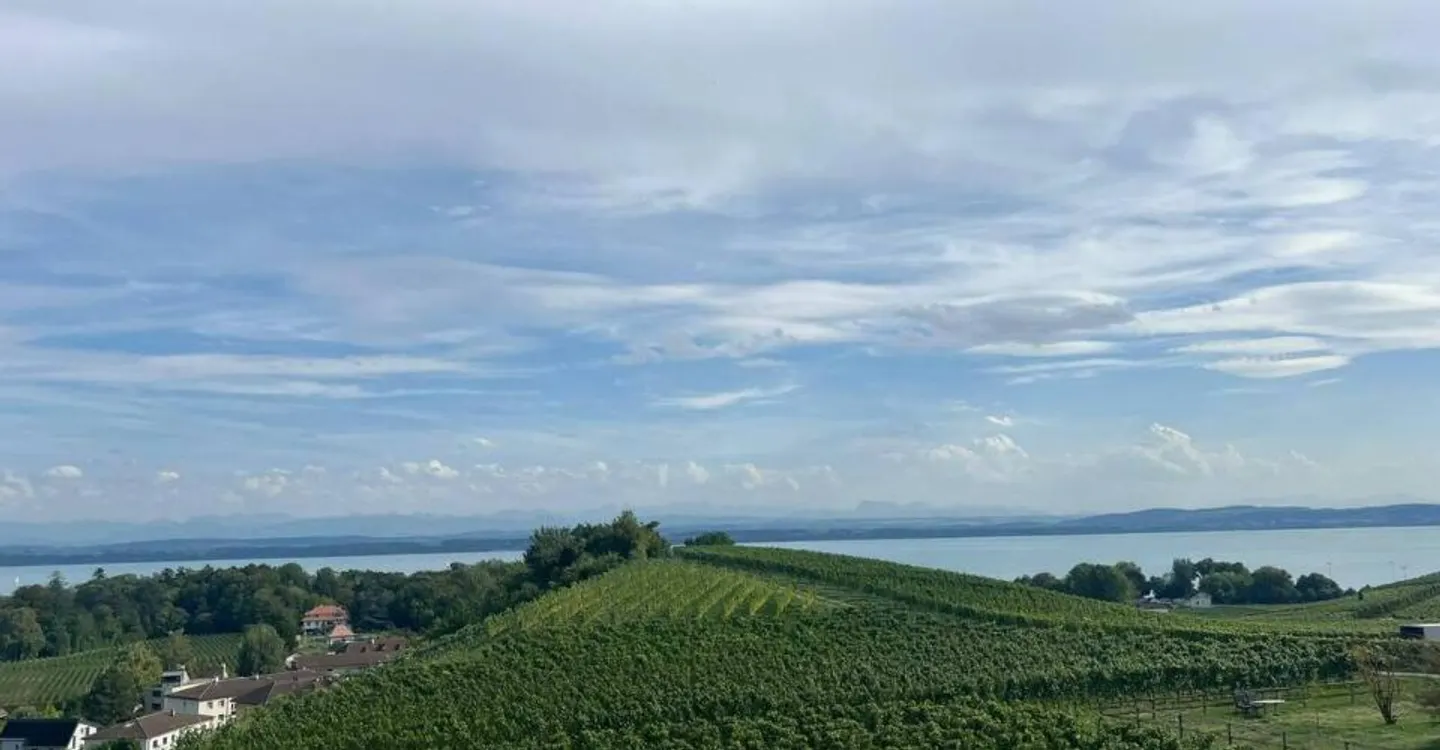 The Terraces of Sachet, 5.5-room villas in Cortaillod - Photo 13 of 13