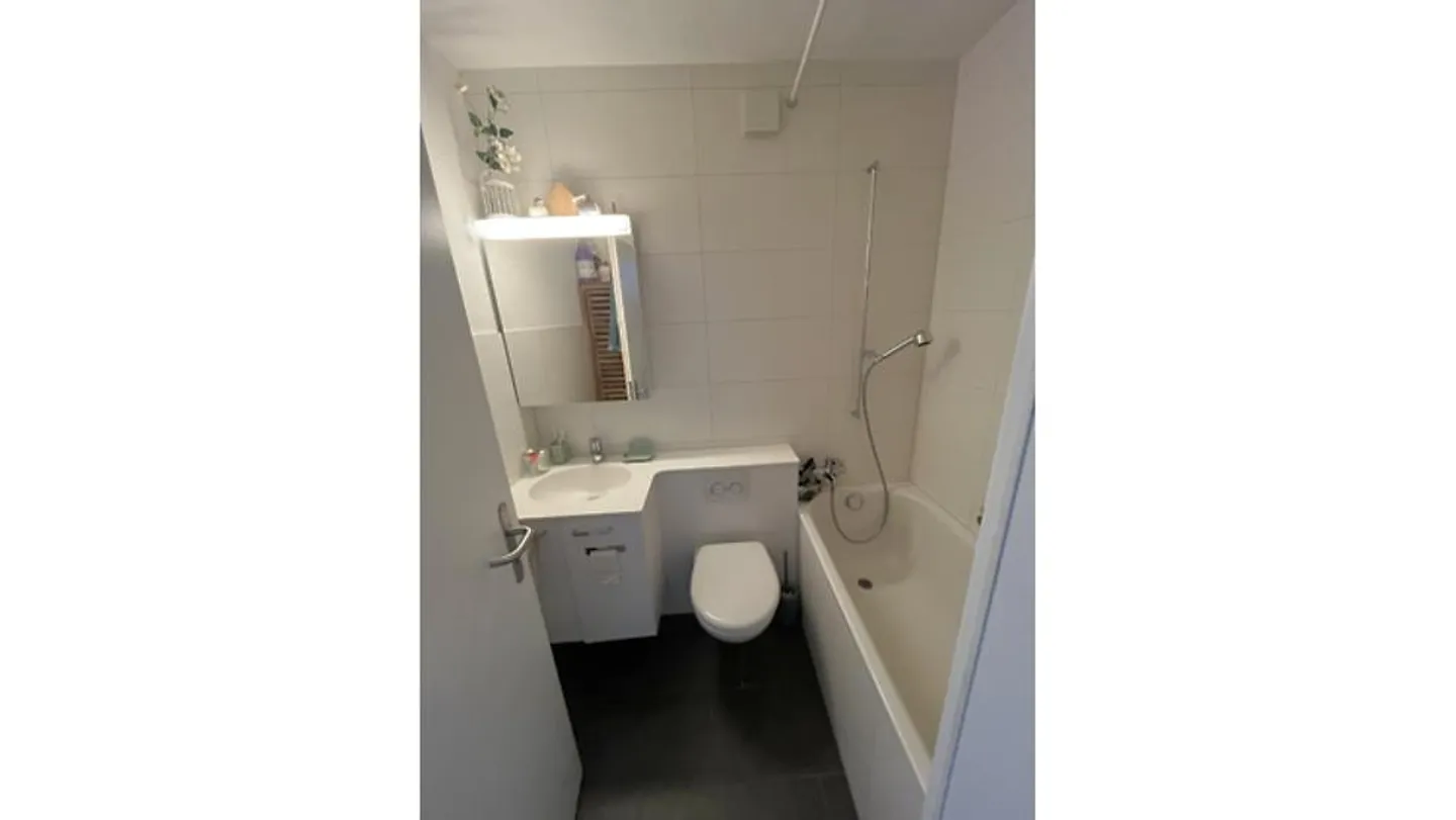 APPARTAMENTO 4½ STANZE A BERN - BÜMPLIZ, ARREDATO, TEMPORANEO - Foto 7 di 10