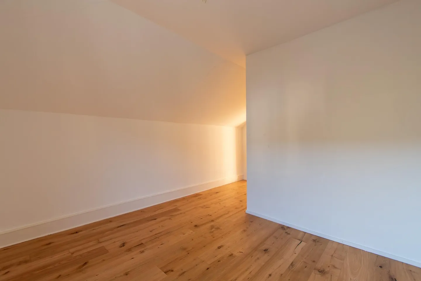 Bright 3.5 Room Attic Apartment - Photo 9 of 9