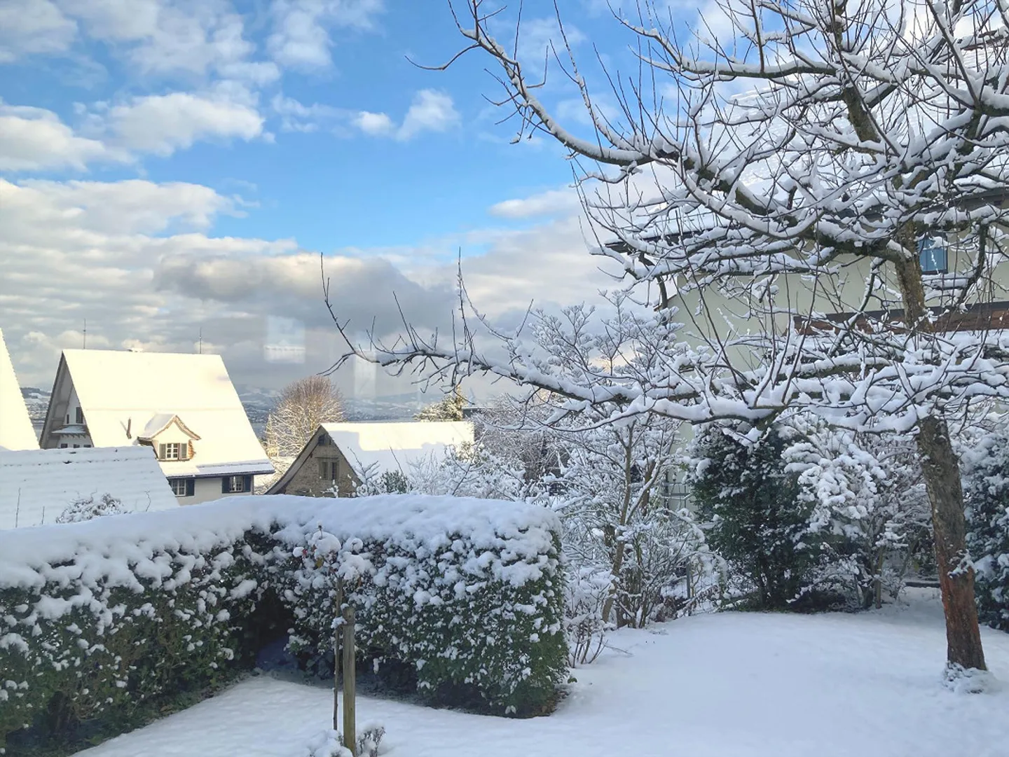 Appartement 1 1/2 pièces - Photo 9 sur 12