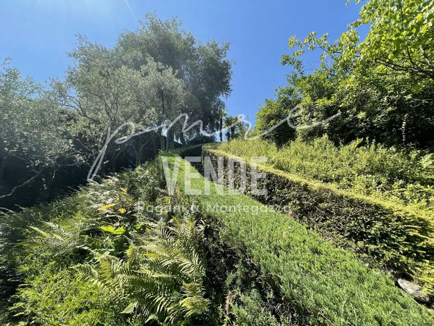 GENTILINO I VIVERE IMMERSI NEL VERDE | Gentilino I Villa surrounded by greenery in residential area | Gentilino I Villa im Grünen in einer Wohngegend | Gentilino I Villa entourée de verdure dans un quartier résidentiel - Foto 13 di 13