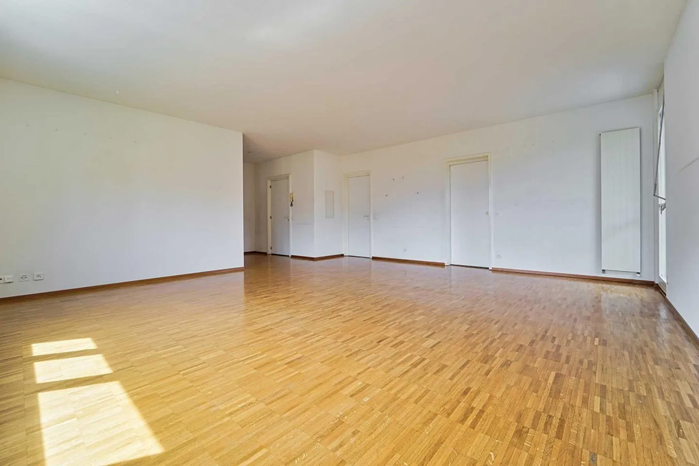 LUMINEUX 4.5 PIÈCES À MASSAGNO - Photo 3 sur 5