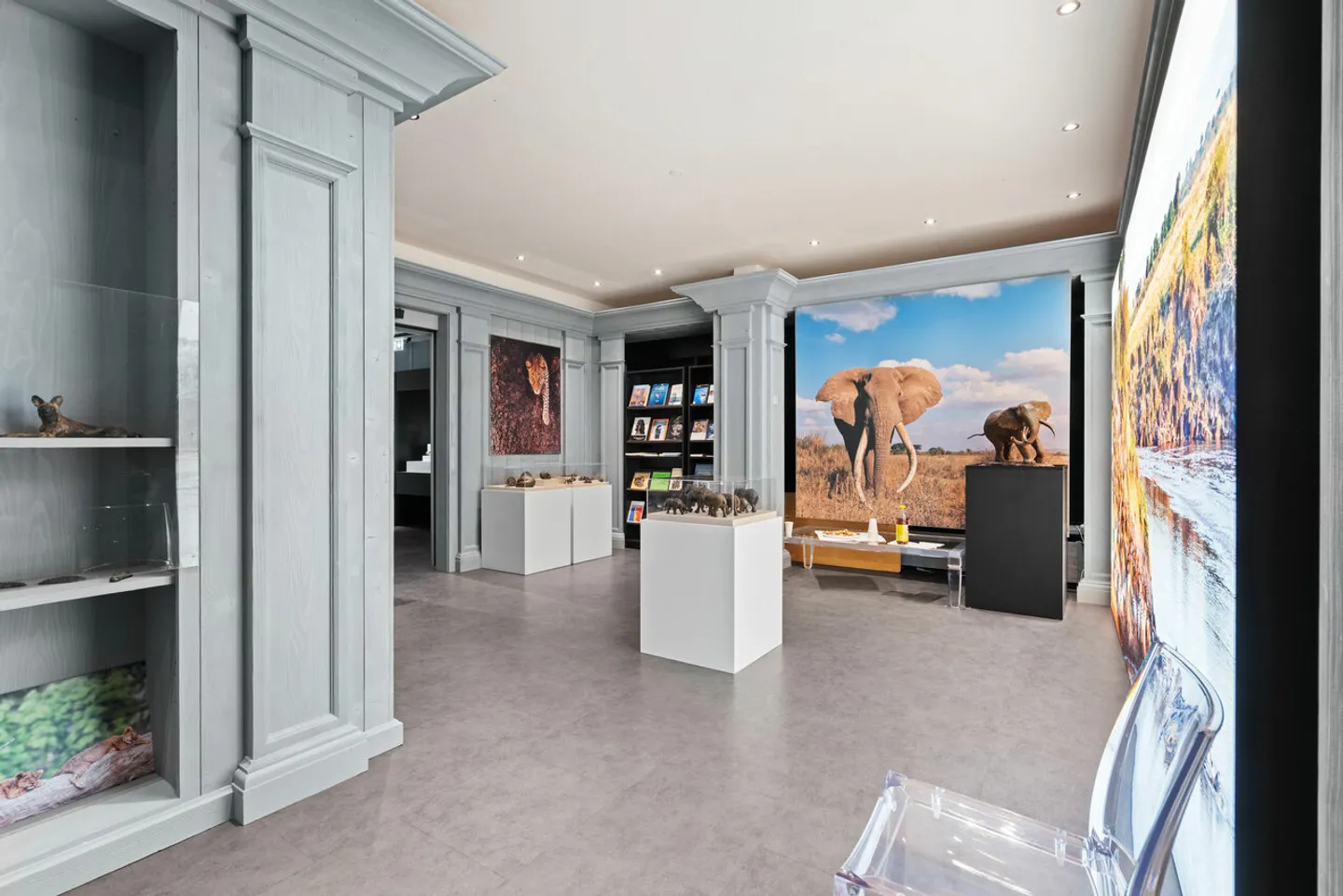 Commercial space 430m2 in shopping street - Photo 1 of 3