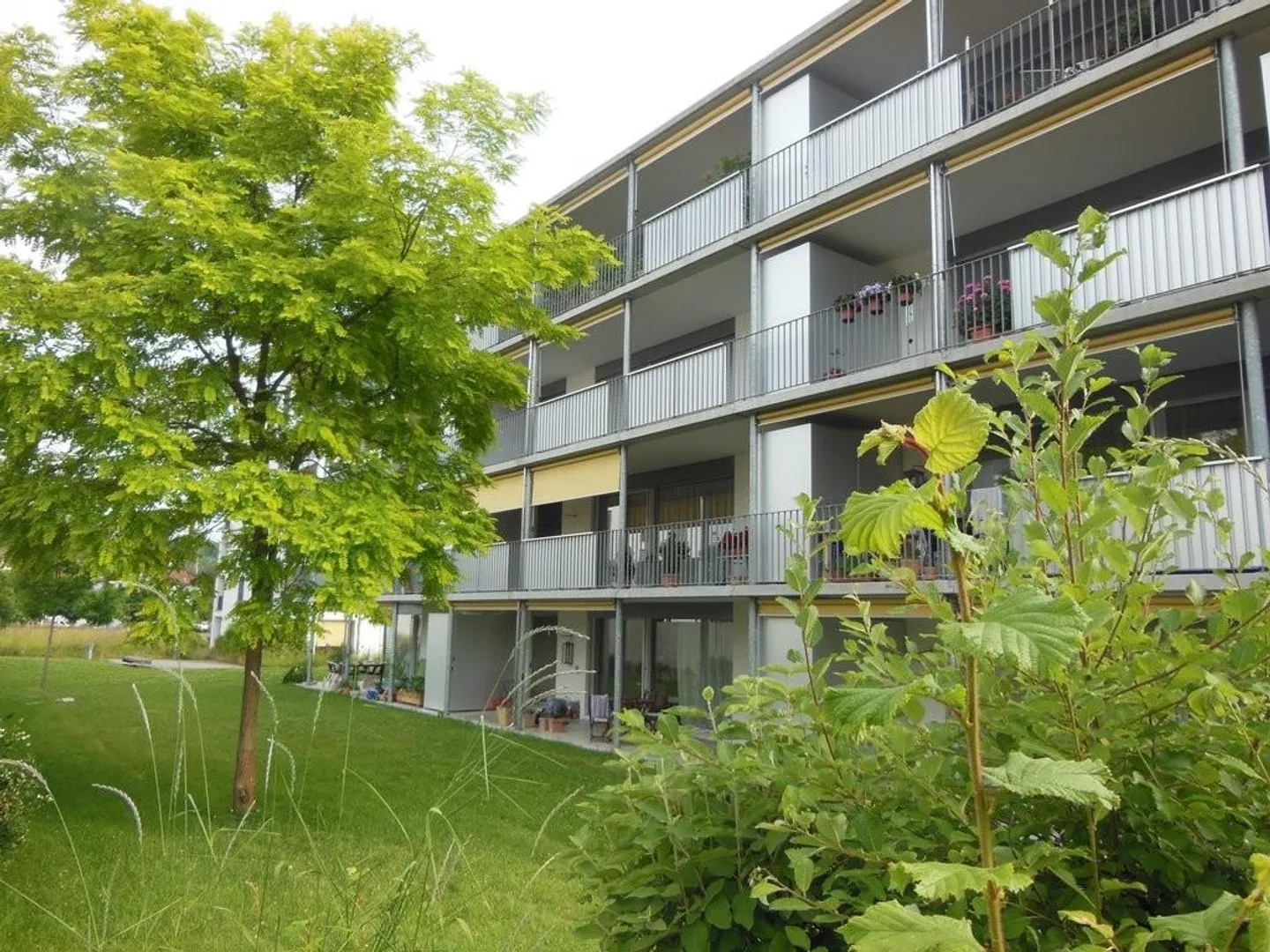 Modernes Apartment in Liebefeld - Foto 1 von 7