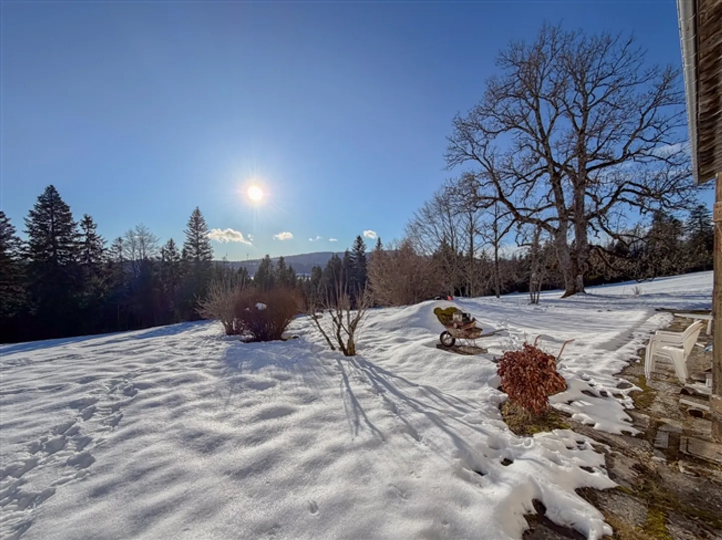 Historical Semi-Detached House on Agricultural Land of 17,197 m² - Photo 9 of 16