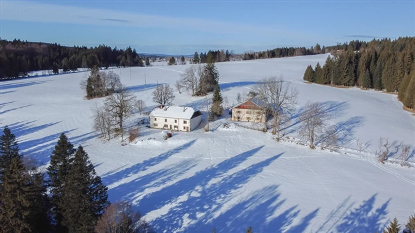 Historical Semi-Detached House on Agricultural Land of 17,197 m² - Photo 16 of 16