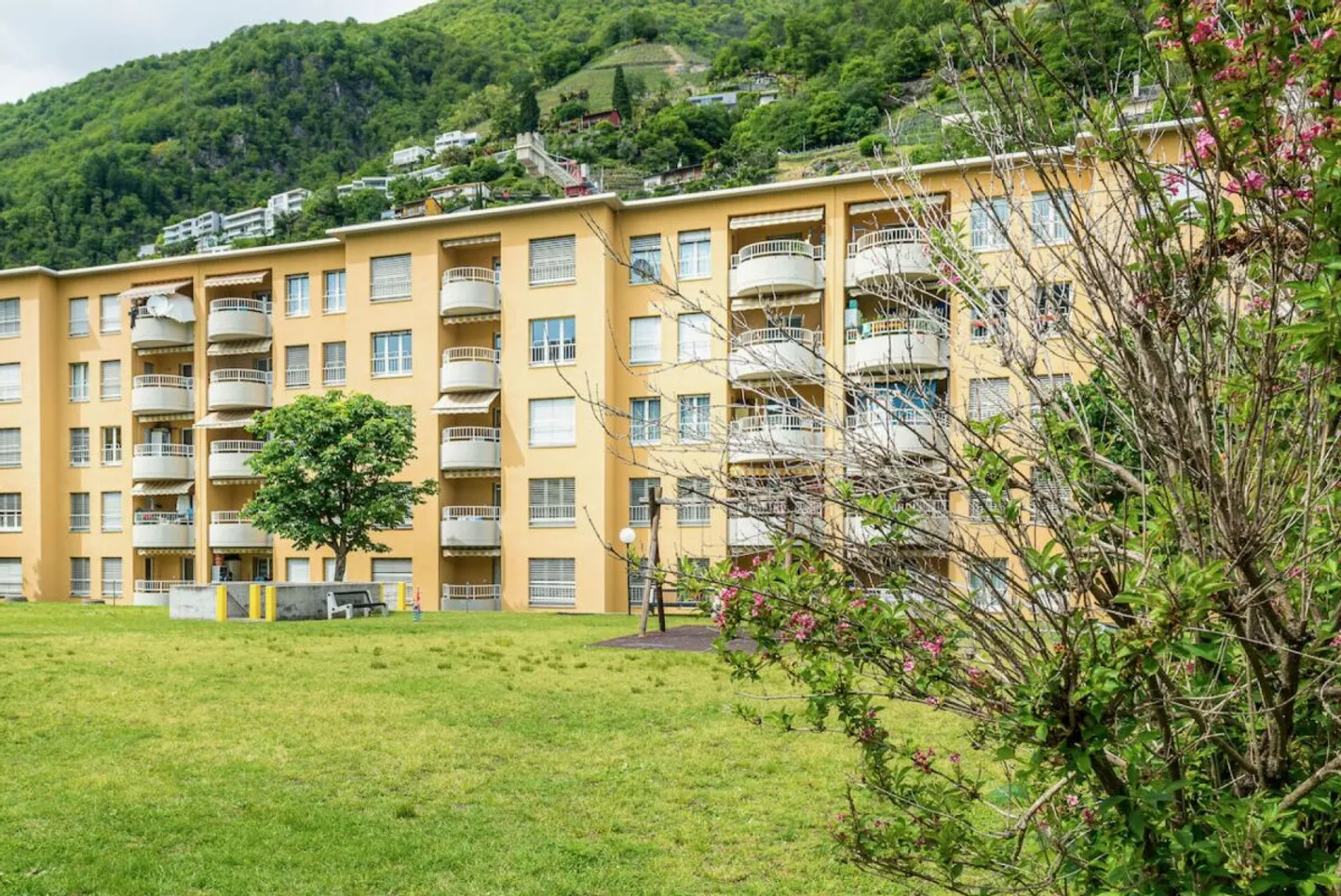 6200, Riazzino, Garage - Foto 3 di 6