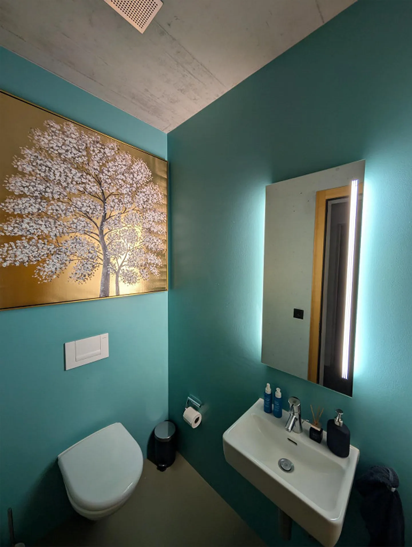 Möblierte 3 105m² Wohnung mit Rigiblick - Foto 9 von 12