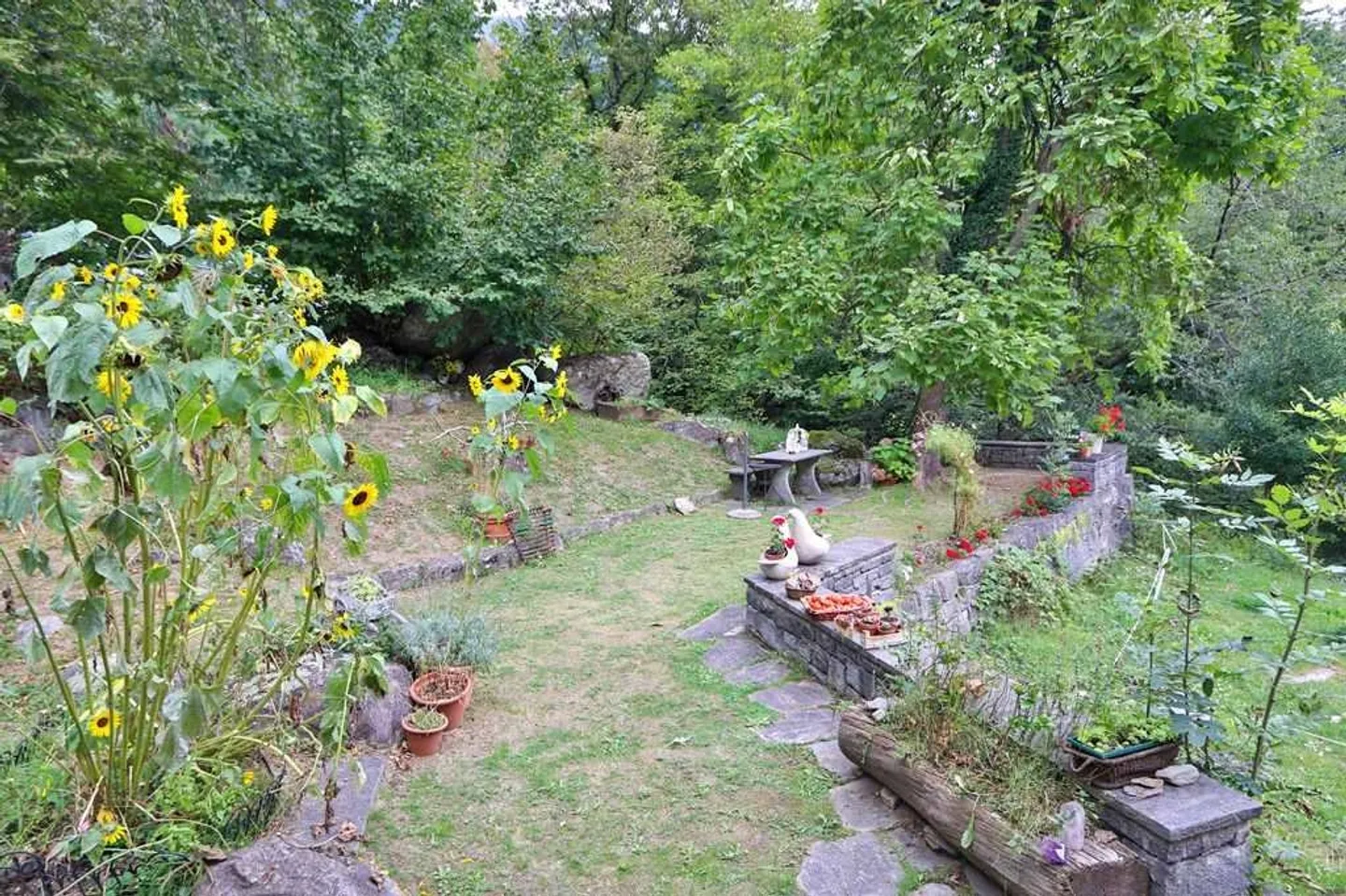 Duplex Charmant à Faido - Photo 19 sur 19