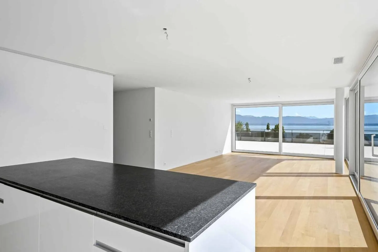 Magnifico attico nuovo di 5.5 stanze Rooftop esclusivo a 360° - Foto 5 di 13