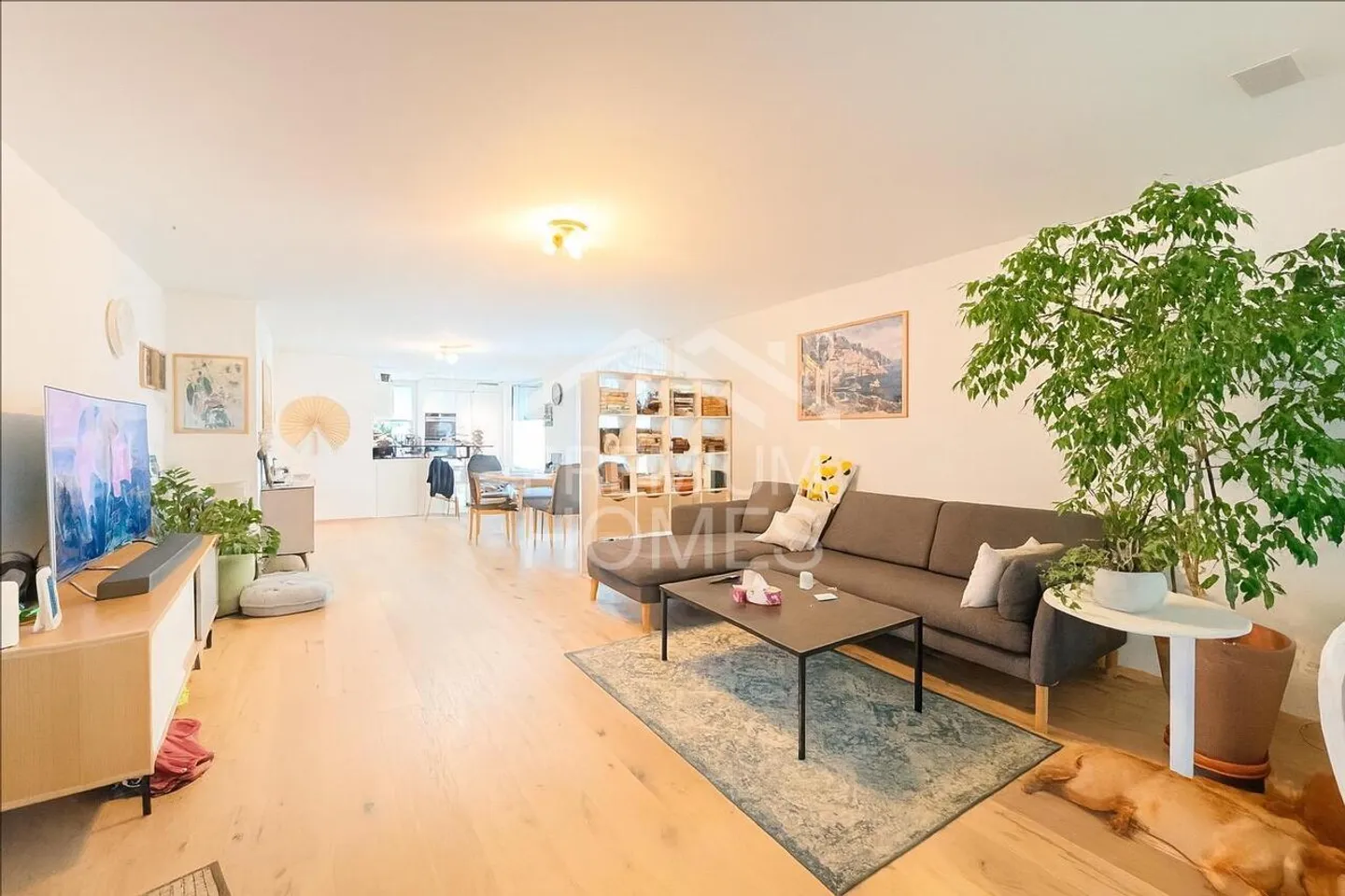 Your new home: Dreamlike 4.5-room apartment with winter garden - Photo 12 of 13
