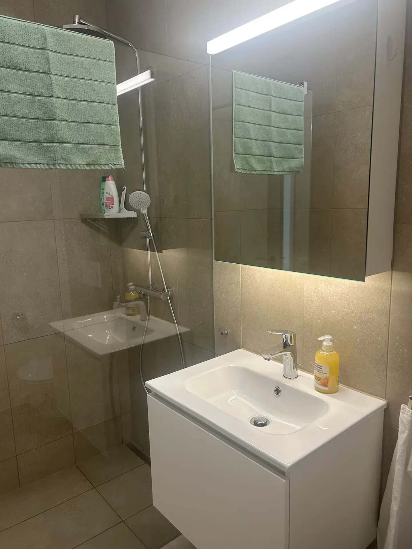 APPARTAMENTO 3½ LOCALI A KRIENS (LU), ARREDATO, TEMPORANEO - Foto 8 di 9