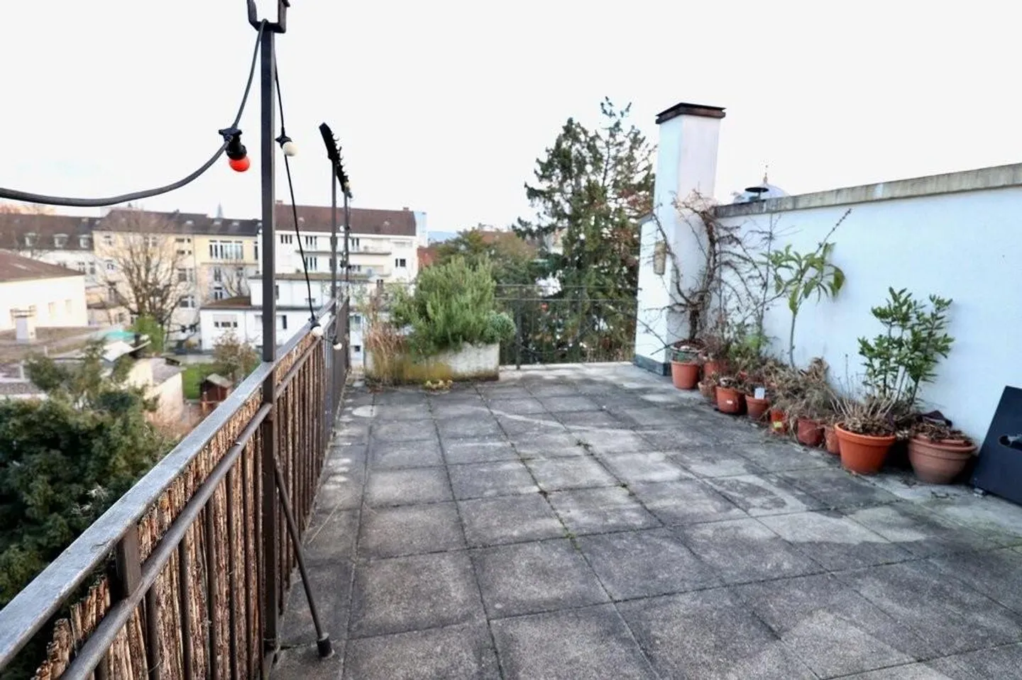 Do you love the special? - Photo 11 of 11