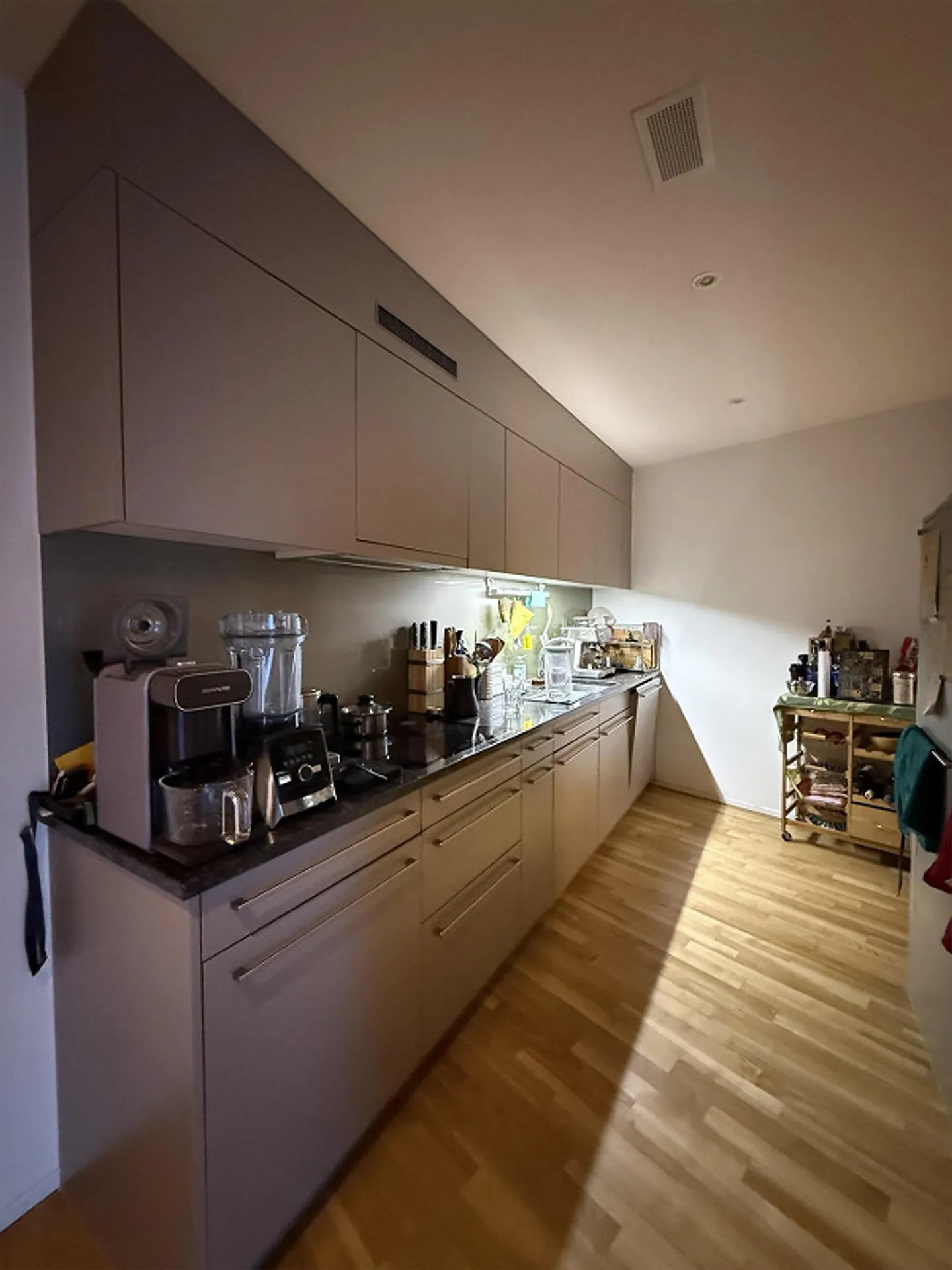 3.5 Room Apartment in Zurich - Photo 3 of 8