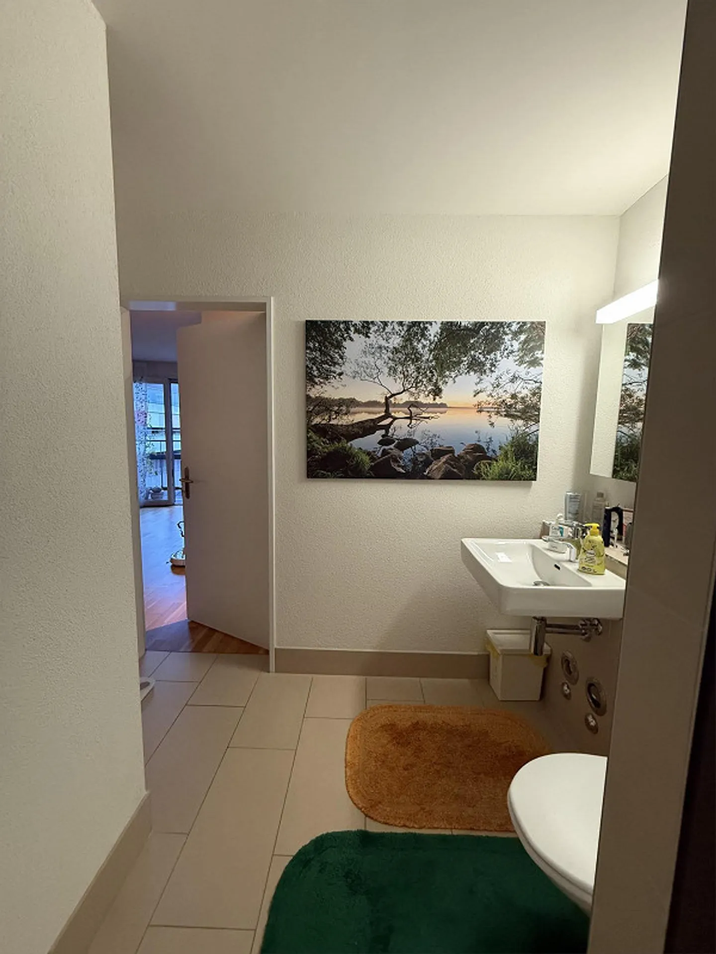 3.5 Room Apartment in Zurich - Photo 5 of 8