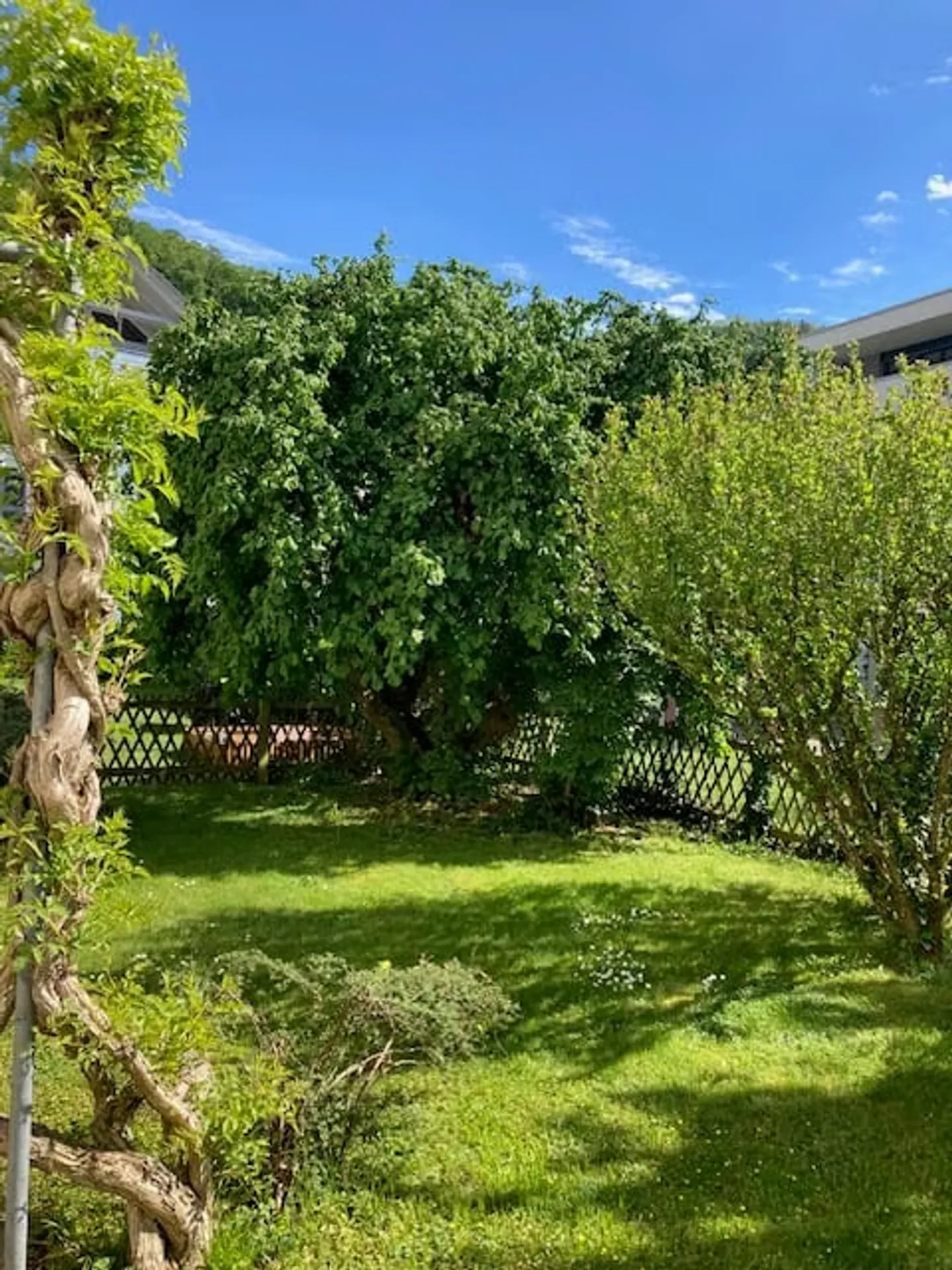 Ampio appartamento giardino 4.5 locali a Würenlingen - disponibile subito! - Foto 3 di 14
