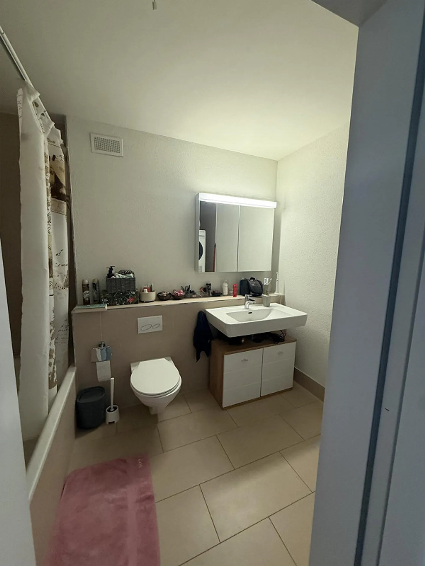 2.5 Room Apartment in Zurich - Photo 4 of 8