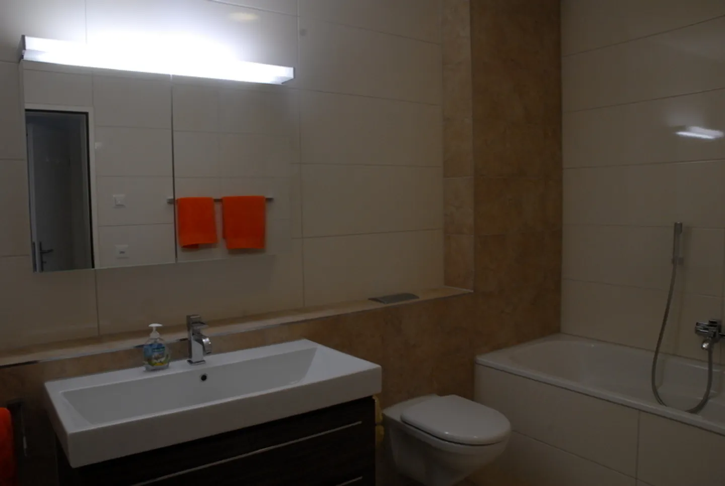 APPARTAMENTO 3½ STANZE A BASEL - GELLERT/ST. ALBAN, ARREDATO - Foto 7 di 10