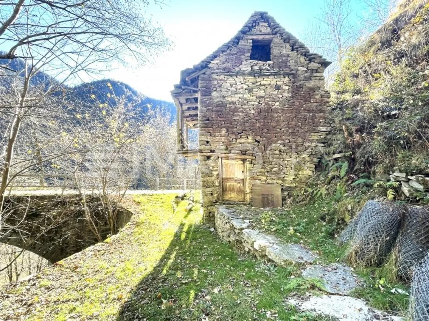 Für Liebhaber der Ruhe - Für Liebhaber der Stille - Foto 6 von 7