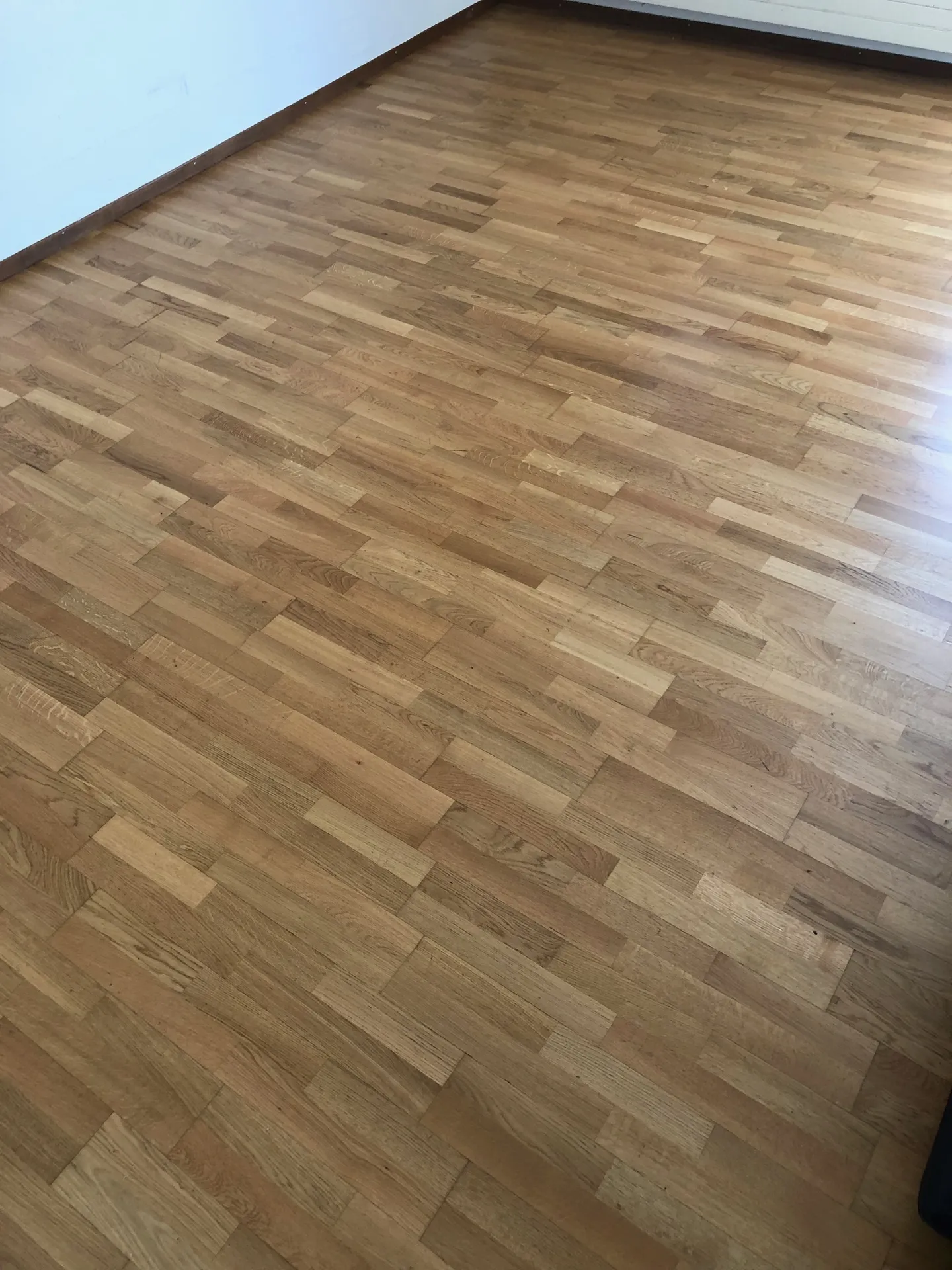 Accogliente appartamento di 1.5 locali con balcone - Foto 6 di 13