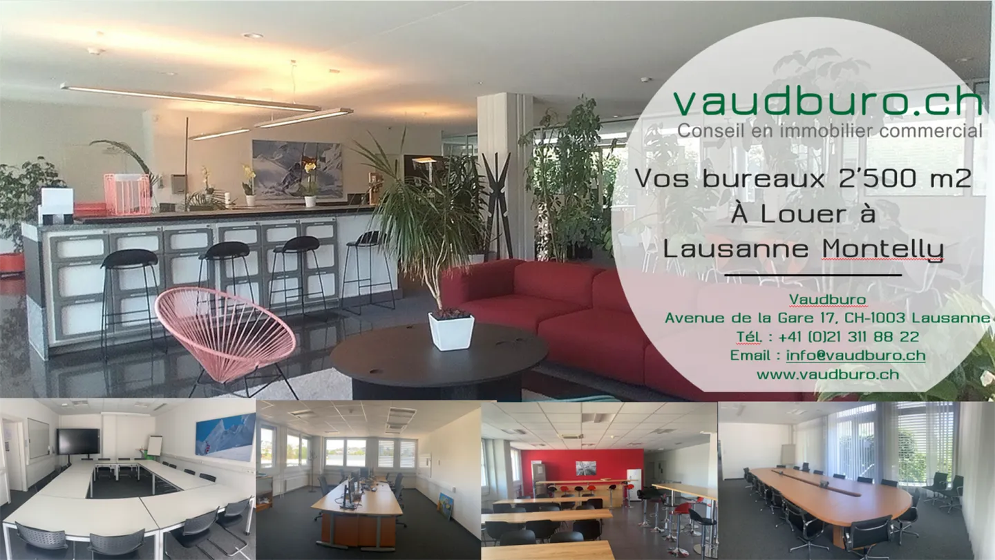 Commercial land - Photo 10 of 11