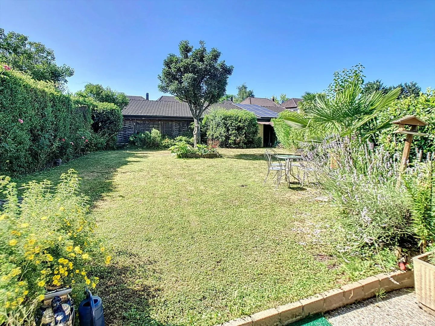 Casa singola in affitto - Foto 4 di 13