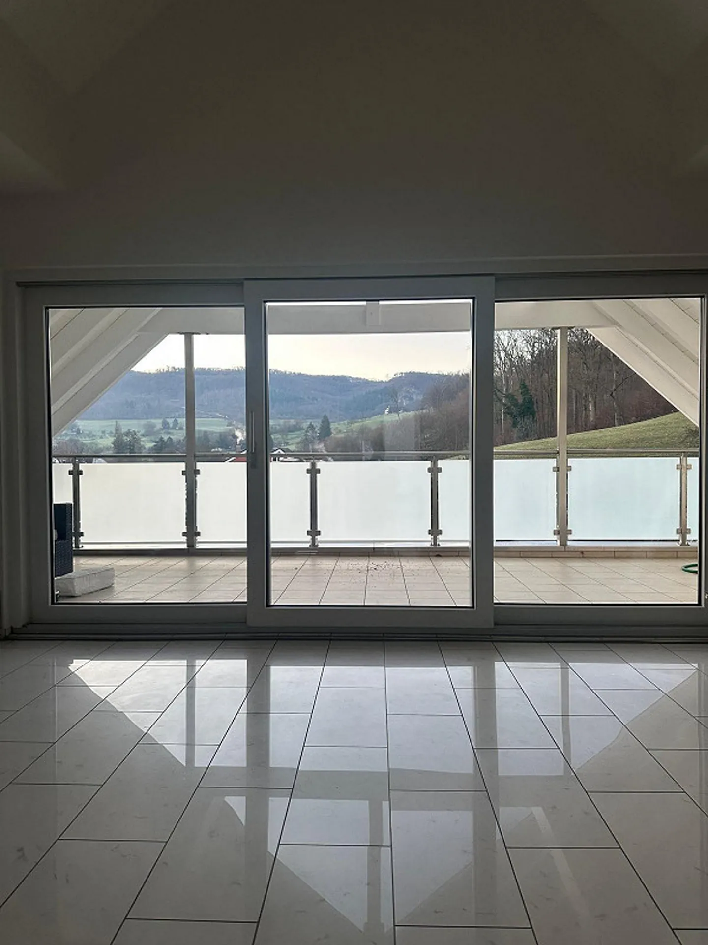 Bellissimo appartamento di 3,5 locali a Muttenz - Foto 2 di 12