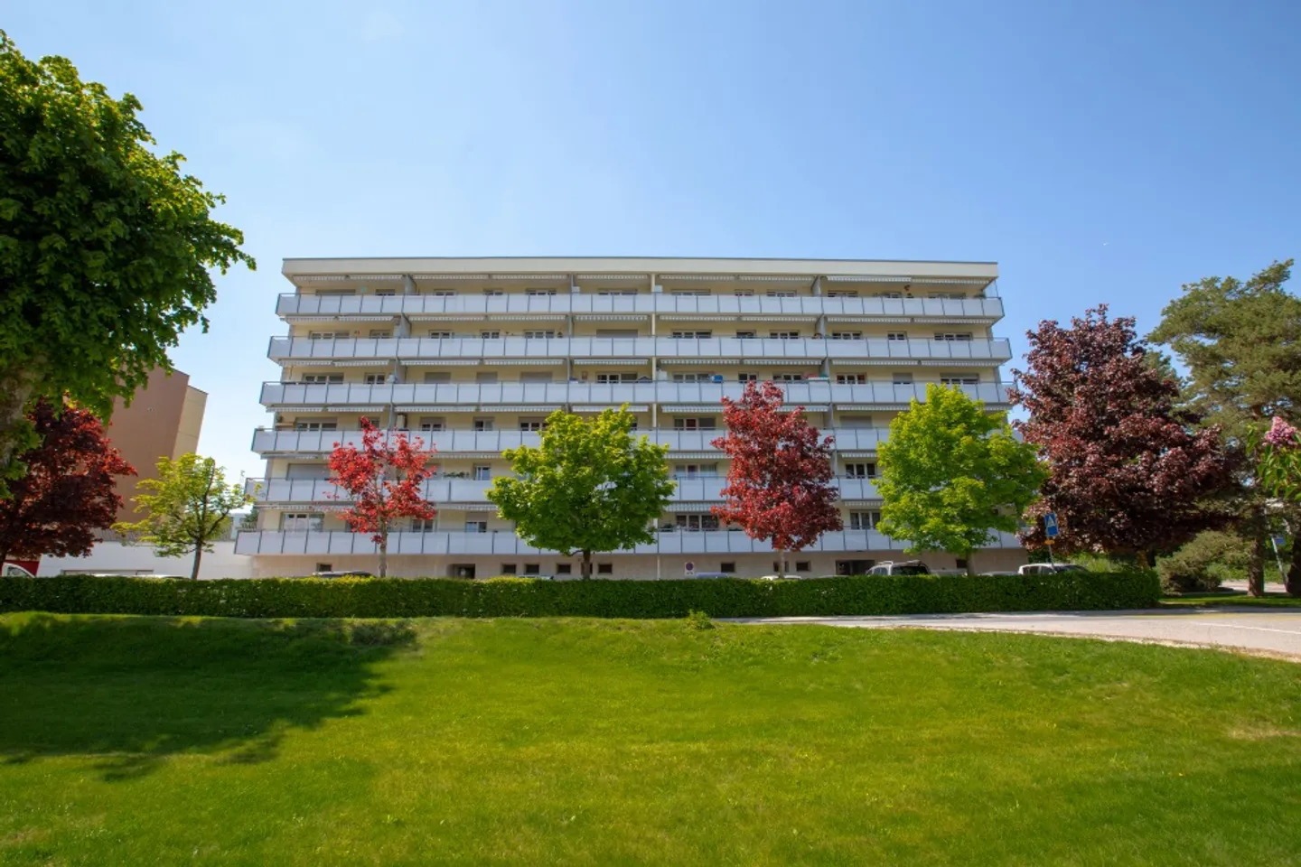 Espace Commercial Polyvalent - Photo 1 sur 5