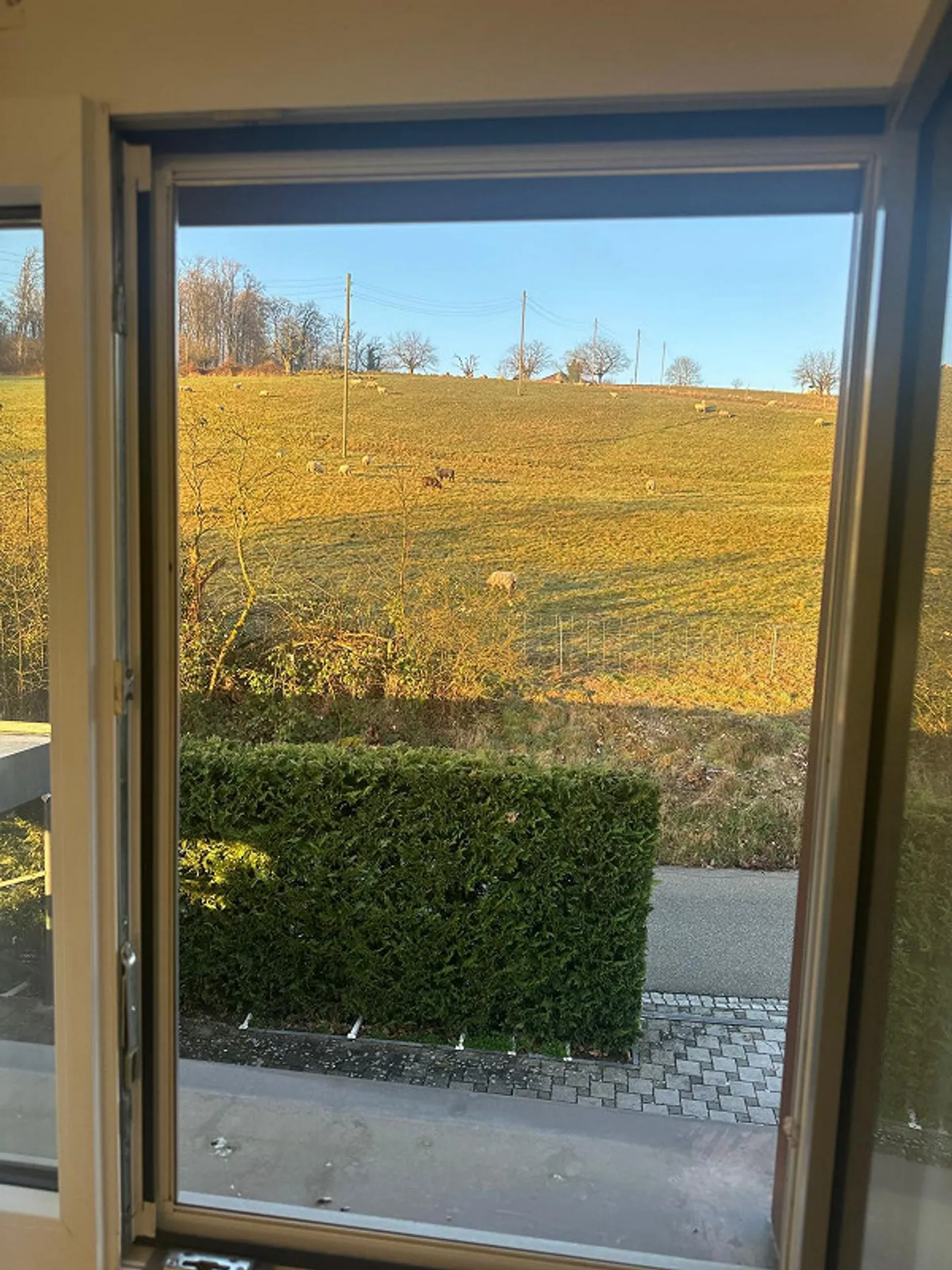 Bellissimo appartamento di 3,5 locali a Muttenz - Foto 11 di 12