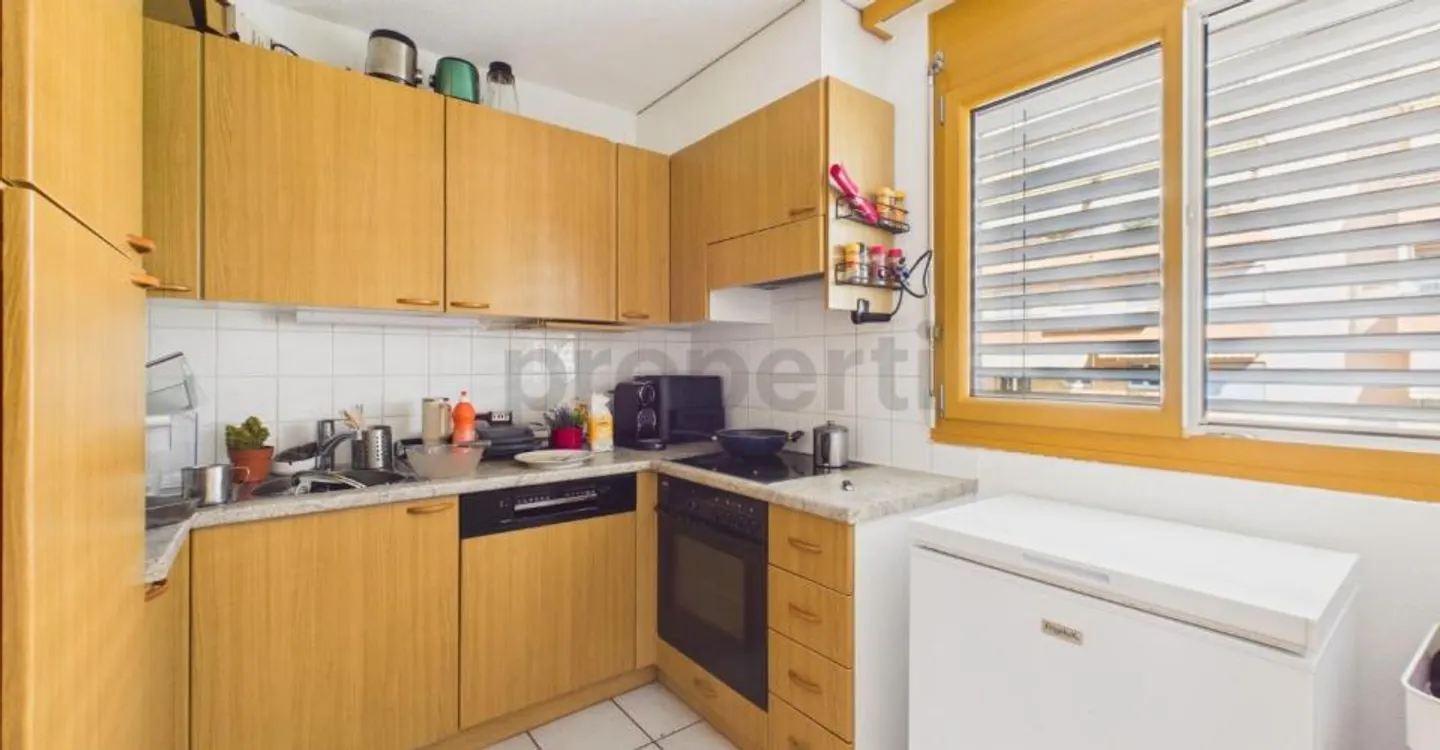 Bright 4.5-room apartment in Pregassona with garden - Photo 4 of 11