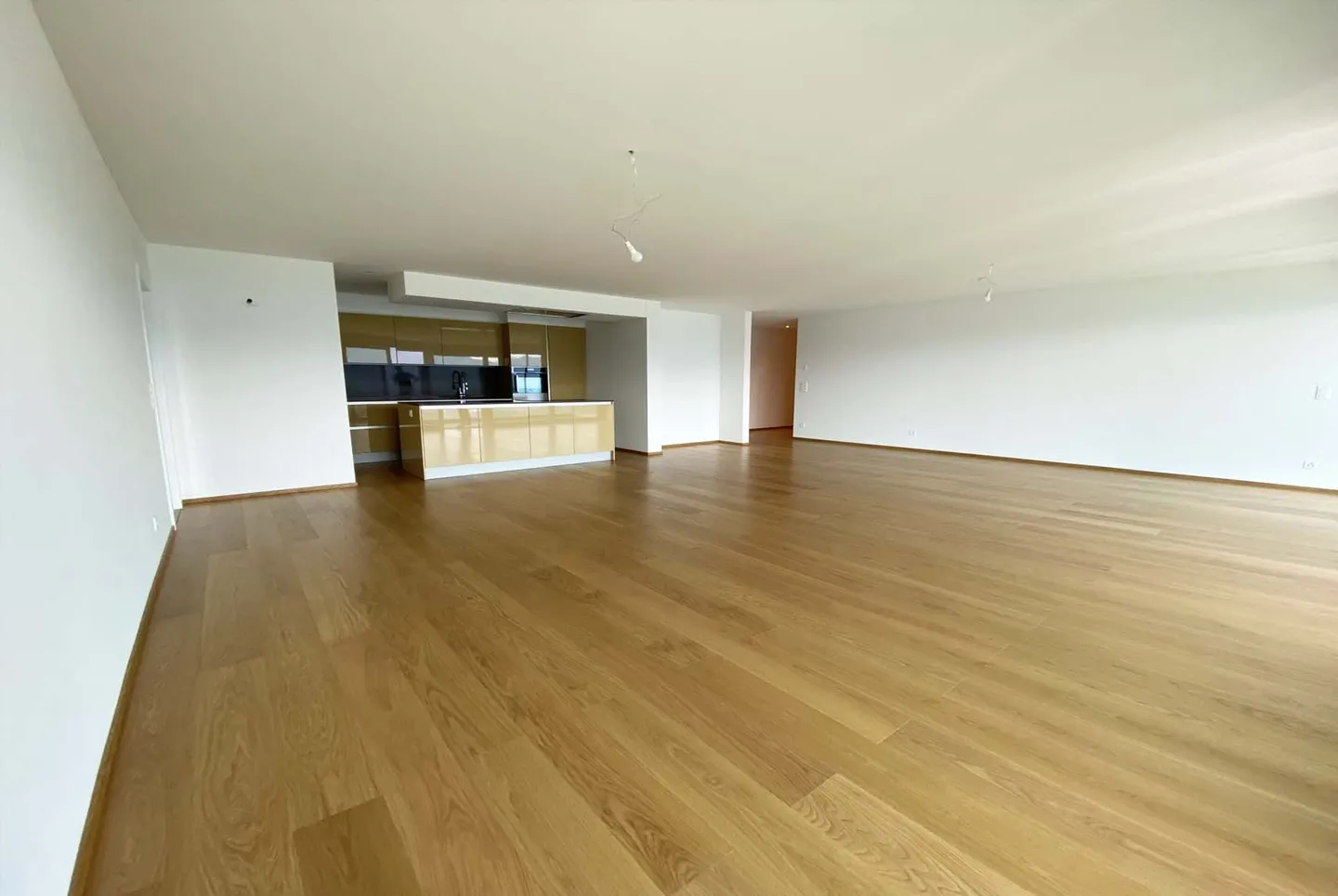 ENORMOUS 4.5 LAKE VIEW IN RESIDENCE WITH POOL IN VERNATE - Photo 6 of 10