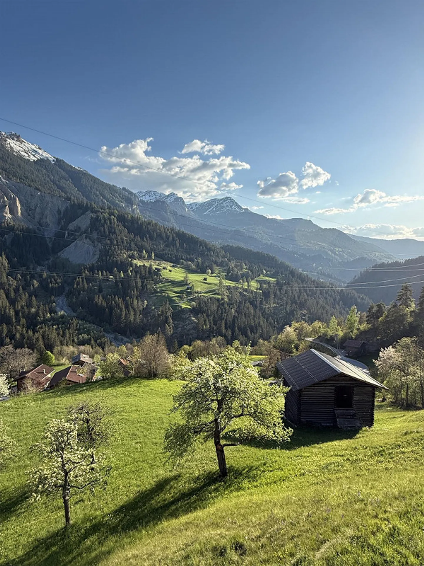 Grosszügige Dachwohnung mit Gartenanteil (Erst- oder Zweitwhg.) - Foto 14 von 14