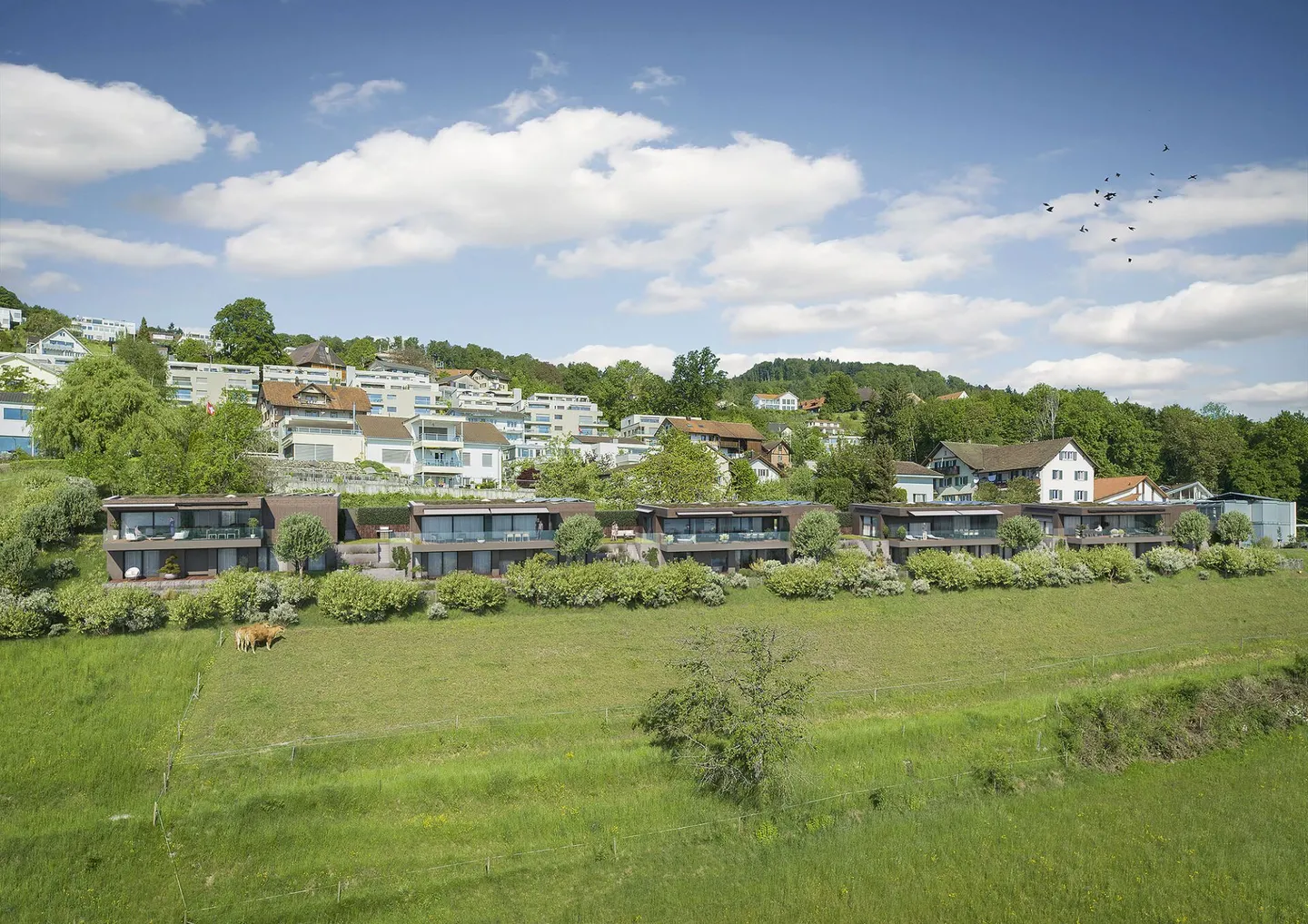 Ihr Platz am See - Das letzte verfügbare Haus am Hallwilersee - Photo 3 sur 6