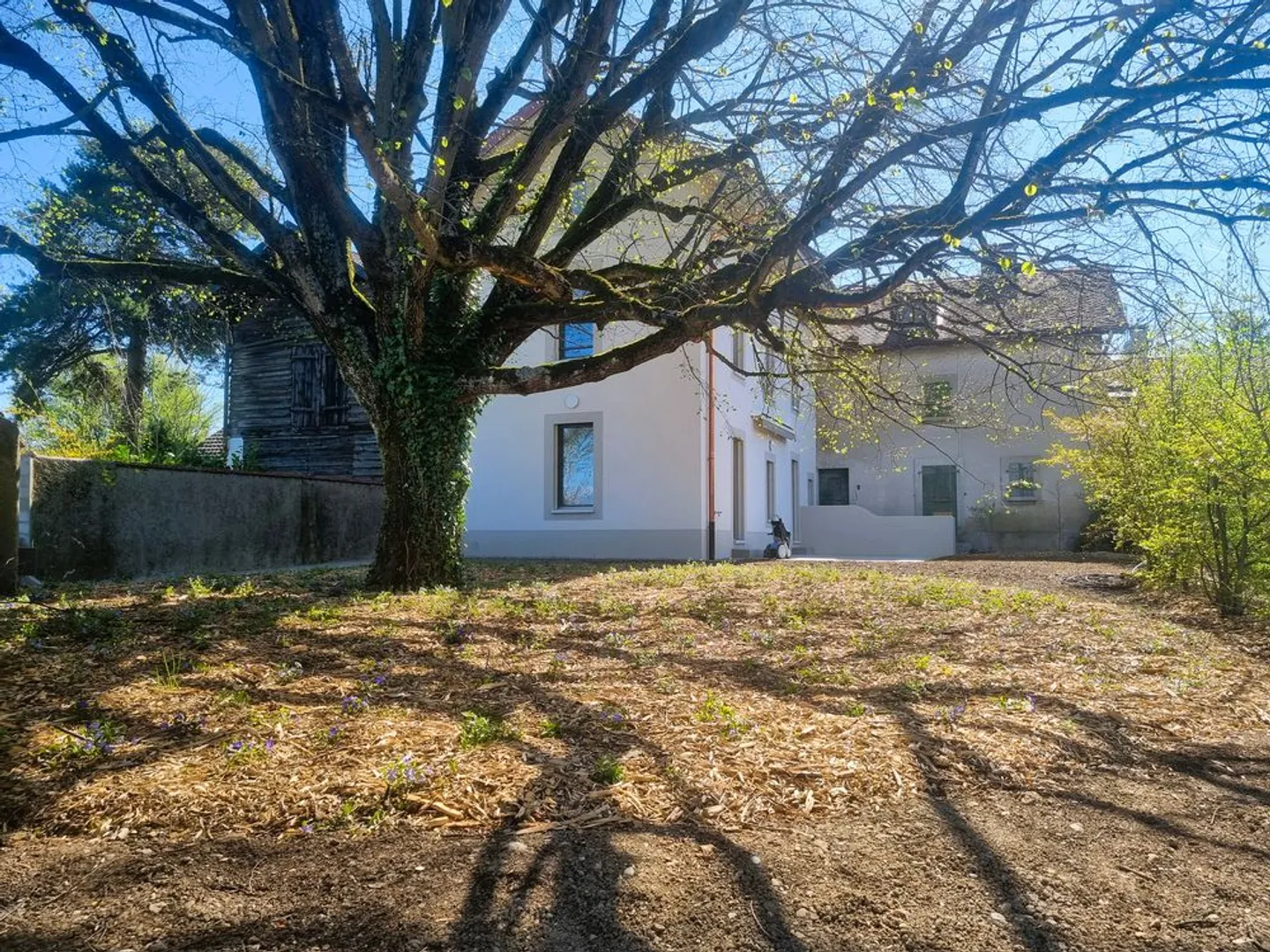 Charmantes Renoviertes Reihenhaus - Foto 11 von 11