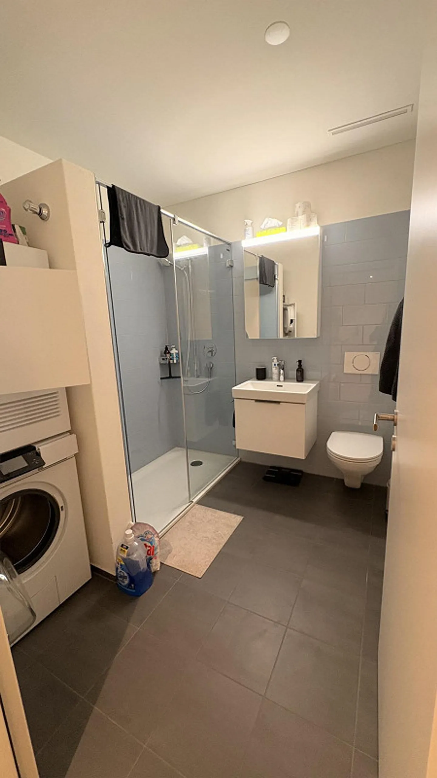 New beautiful 3.5 room apartment with garden for rent - Photo 3 of 9