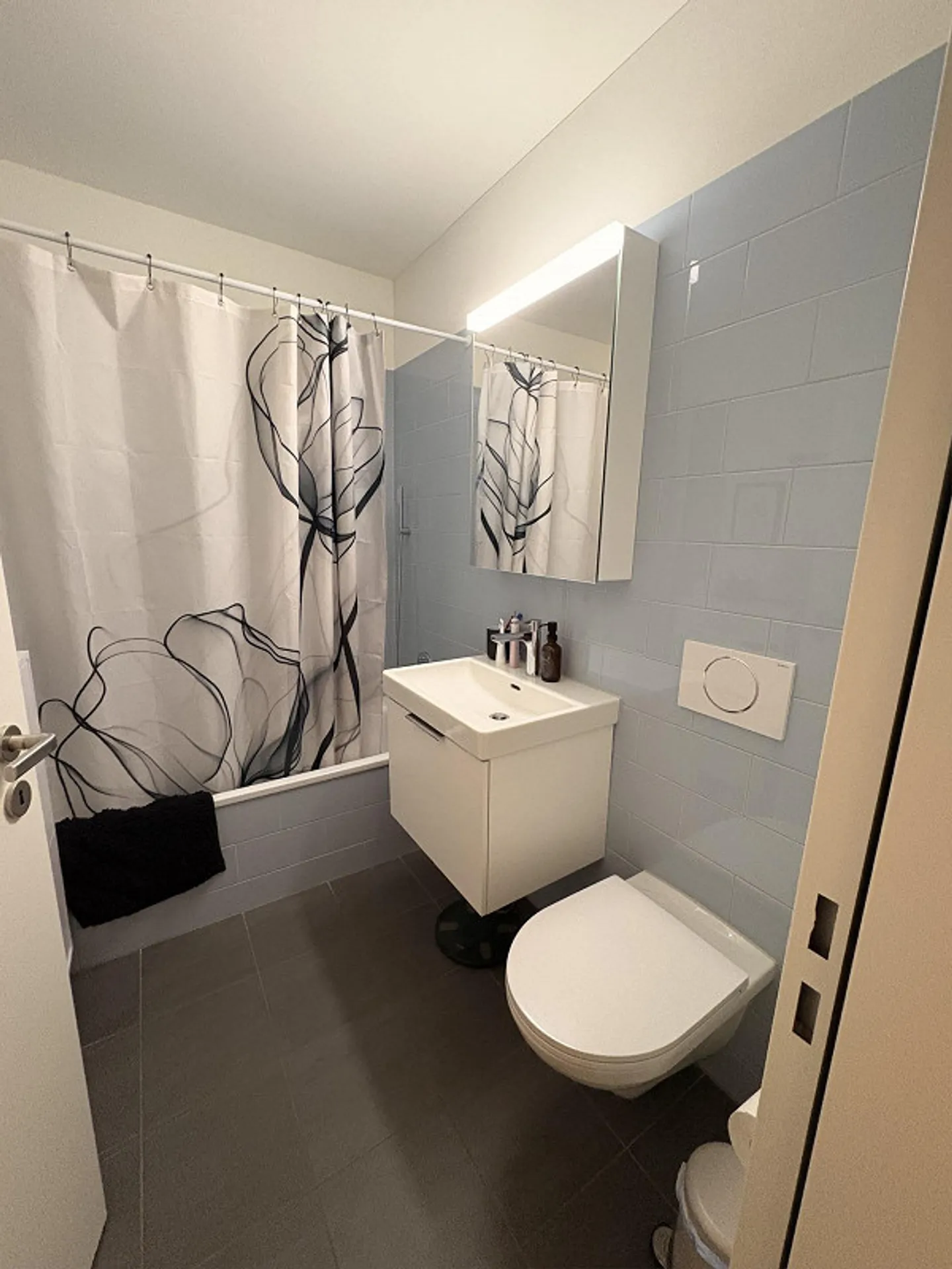 New beautiful 3.5 room apartment with garden for rent - Photo 8 of 9