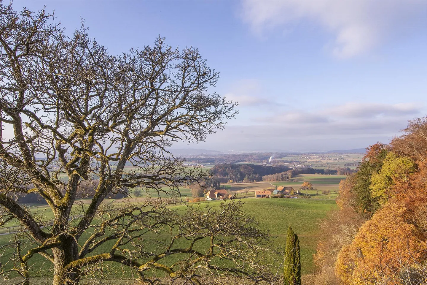 Bijou im Landhausstil mit Aussicht zum Jura - Foto 3 von 17