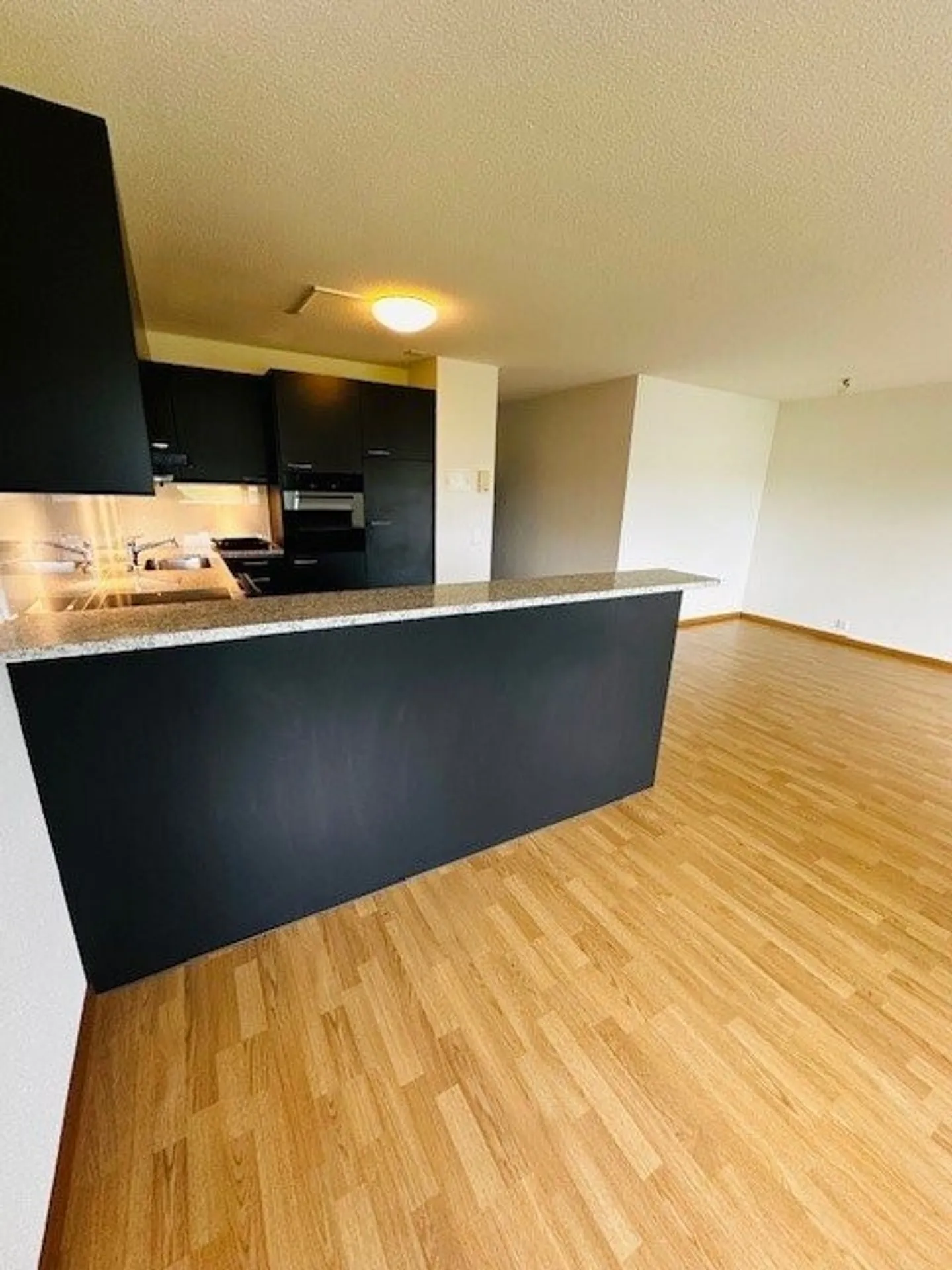 Beautiful Living with a View - Photo 4 of 10