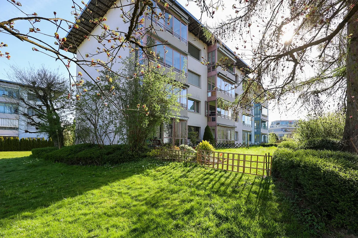 Freshly renovated, bright and spacious - Photo 1 of 4