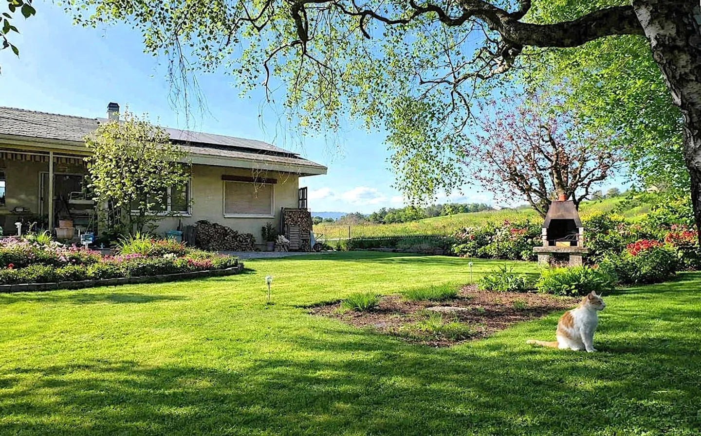 Villa mit 6,5 Zimmern in ruhiger Lage mit großem Garten - Foto 4 von 17